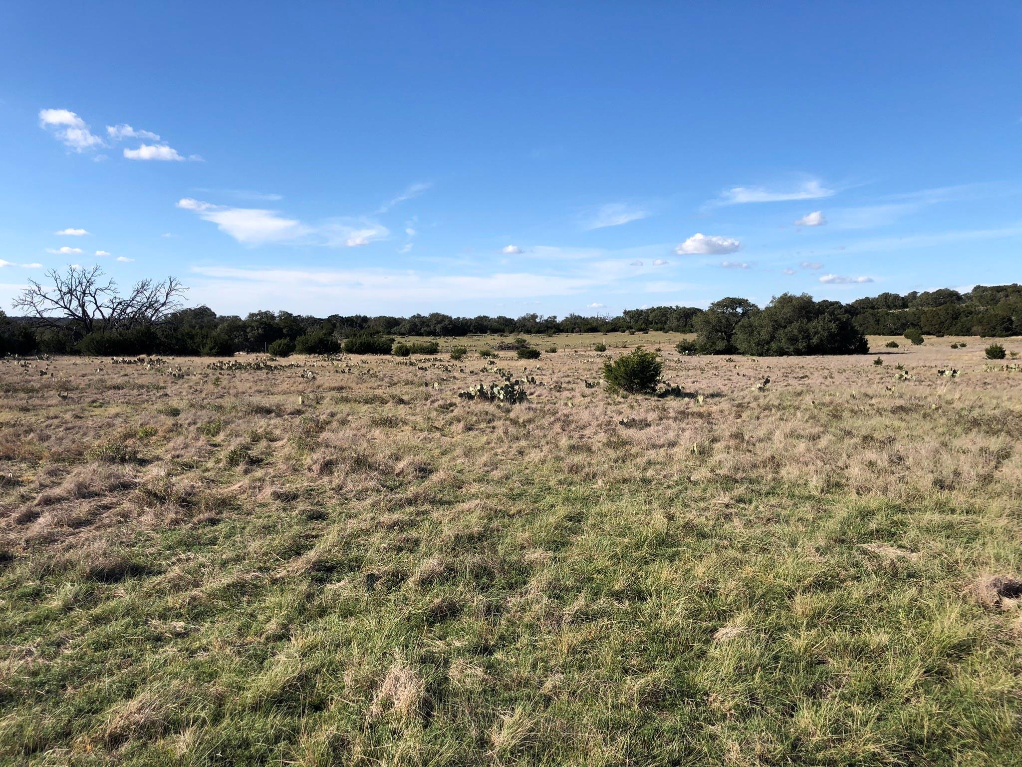 Lot 162 Addax Ct Property Photo 4