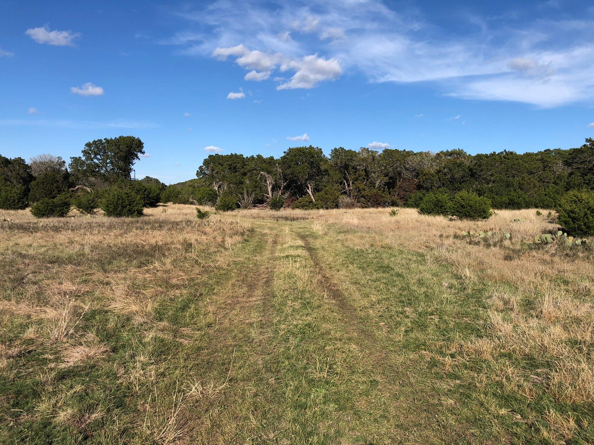 Lot 162 Addax Ct Property Photo 5