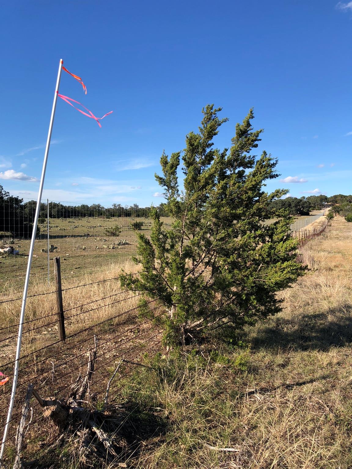 Lot 162 Addax Ct Property Photo 6