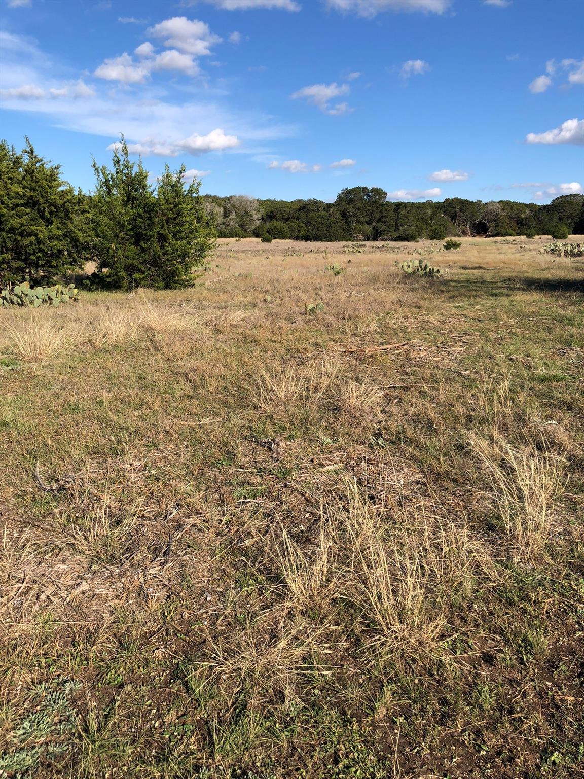 Lot 162 Addax Ct Property Photo 8