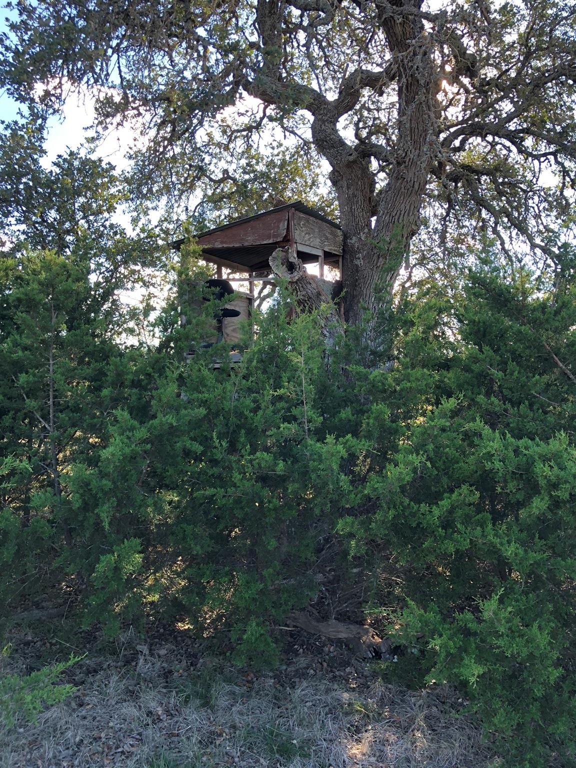 Lot 162 Addax Ct Property Photo 11