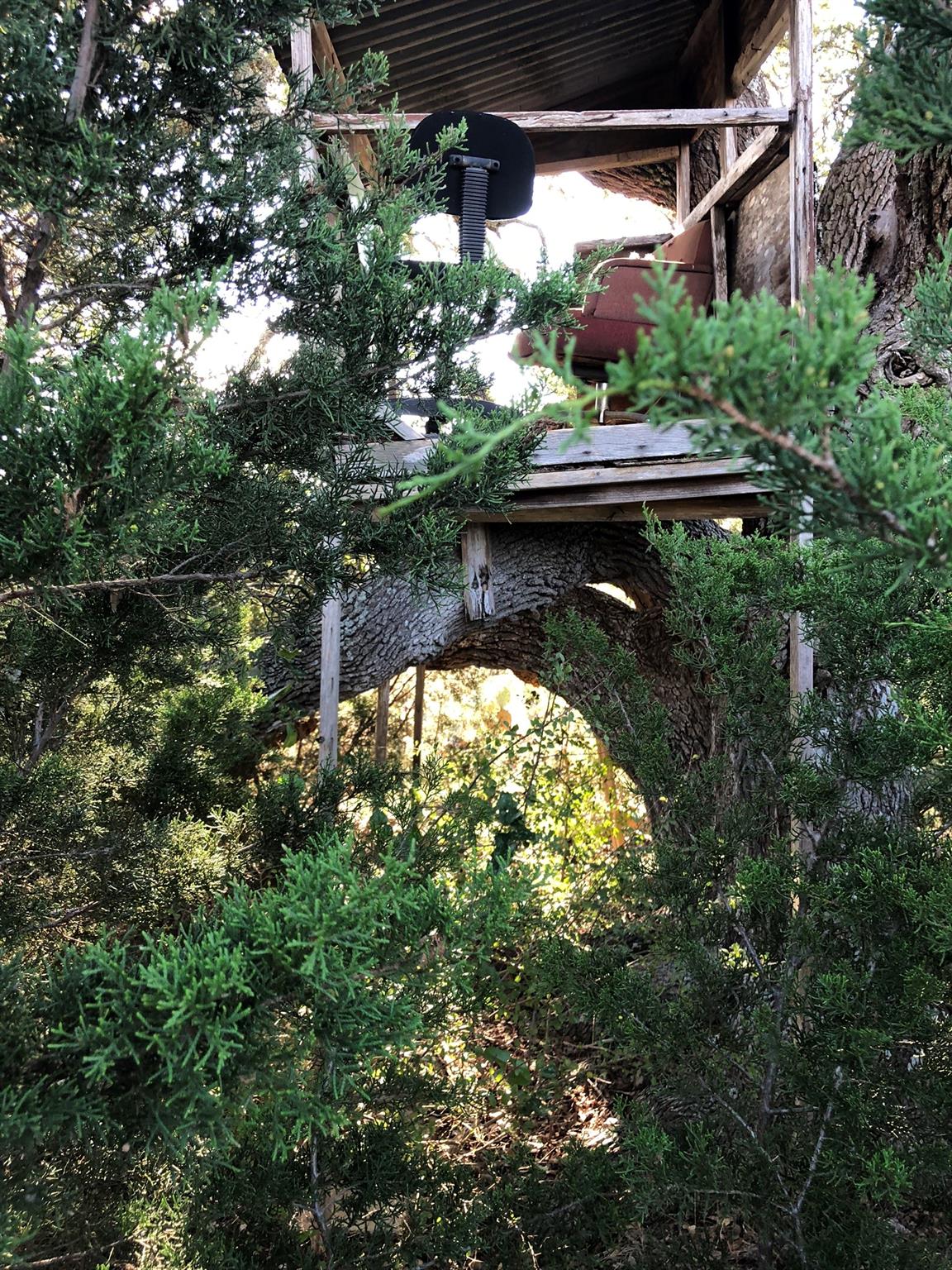 Lot 162 Addax Ct Property Photo 12