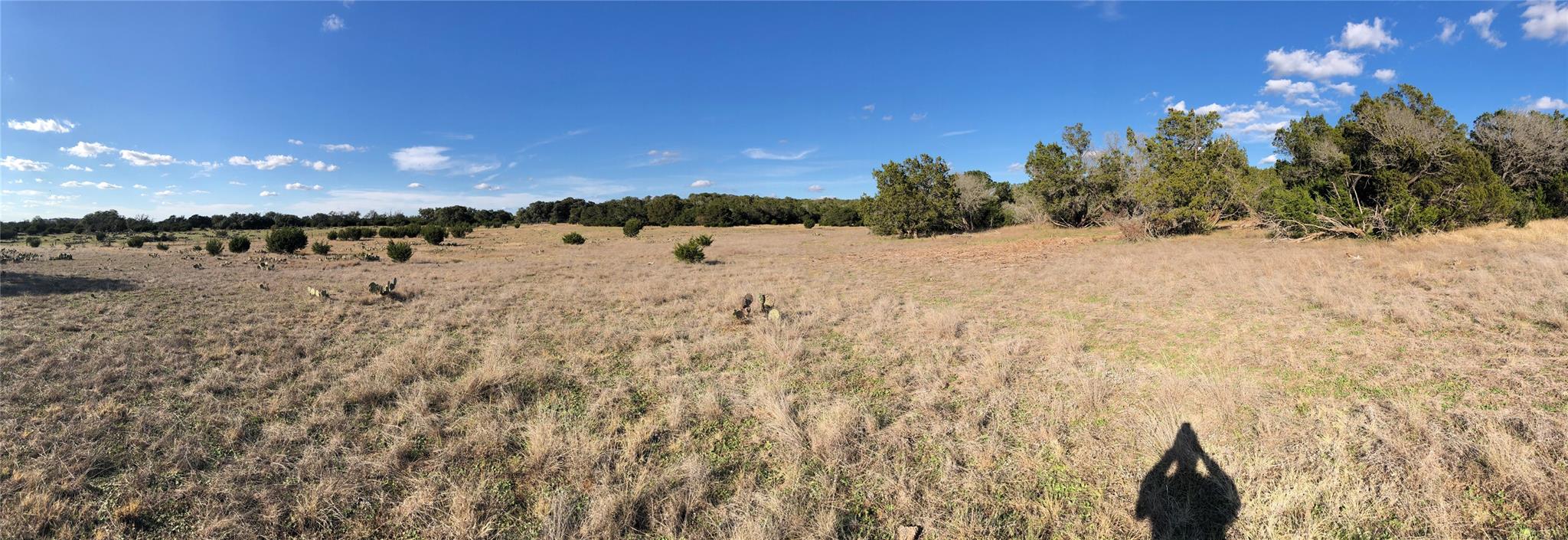 Lot 162 Addax Ct Property Photo 14