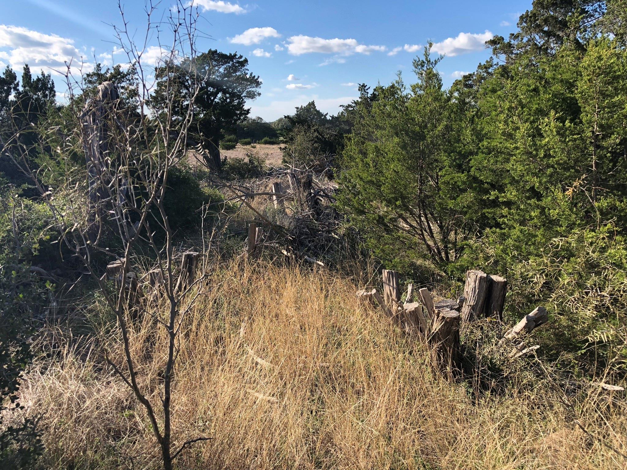 Lot 162 Addax Ct Property Photo 15