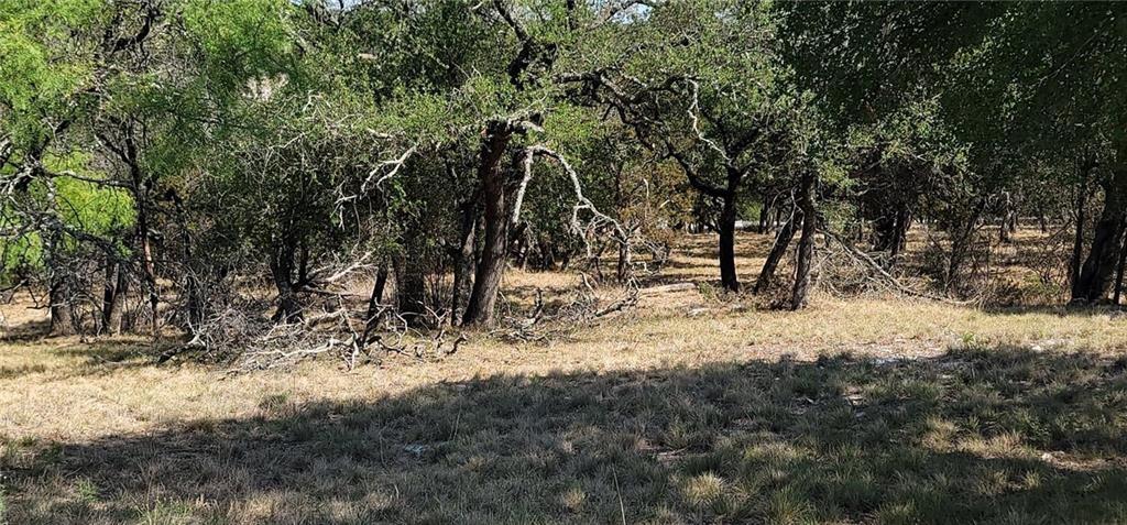 715 Sidewinder Property Photo 8