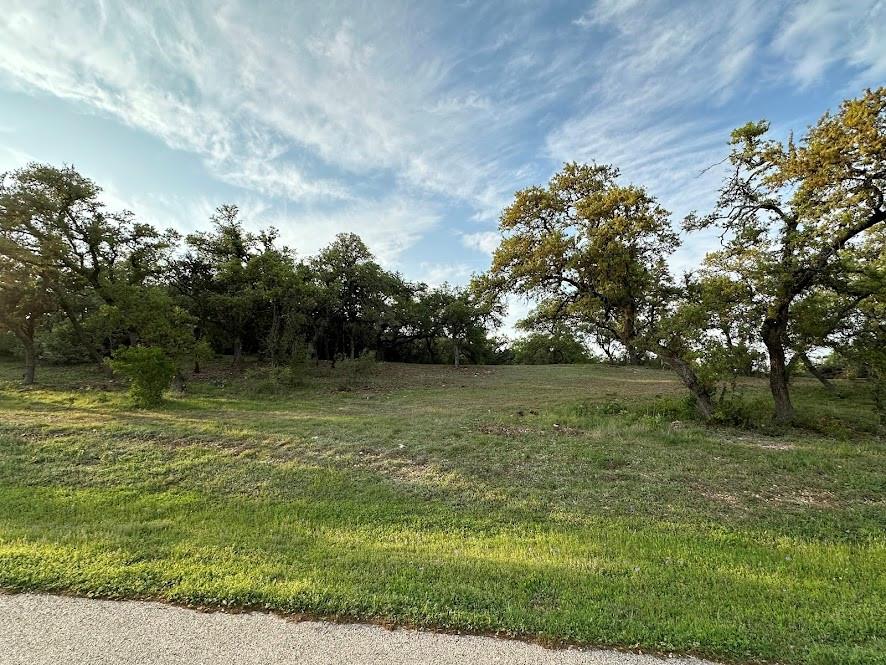 17117 Whispering Breeze Dr Property Photo 4