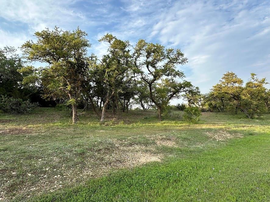 17117 Whispering Breeze Dr Property Photo 6