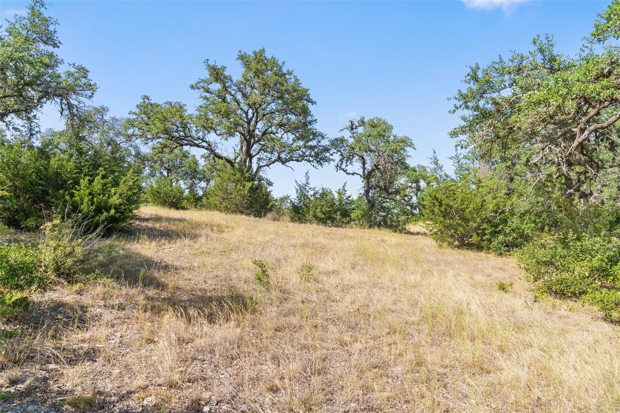 17117 Whispering Breeze Dr Property Photo 12