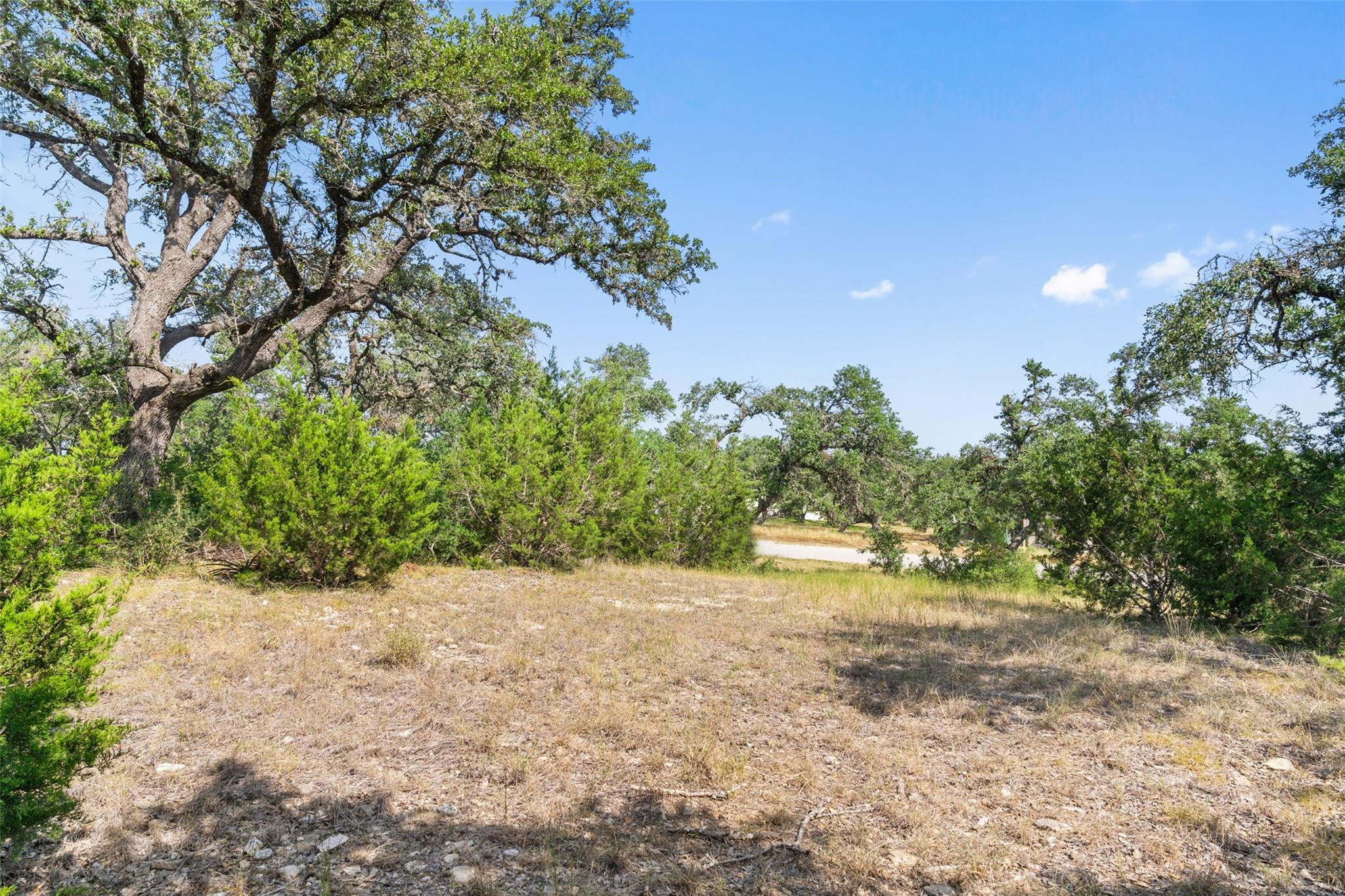 17117 Whispering Breeze Dr Property Photo 14