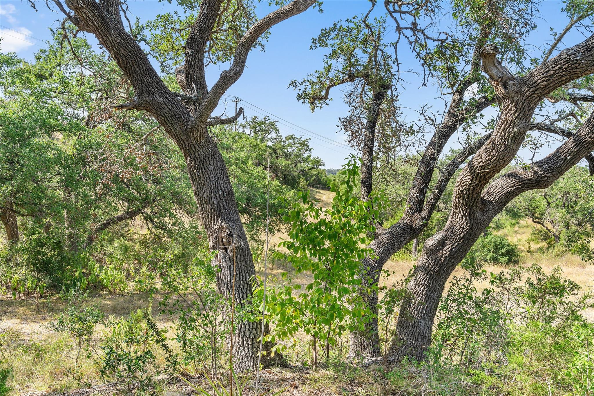 17117 Whispering Breeze Dr Property Photo 15
