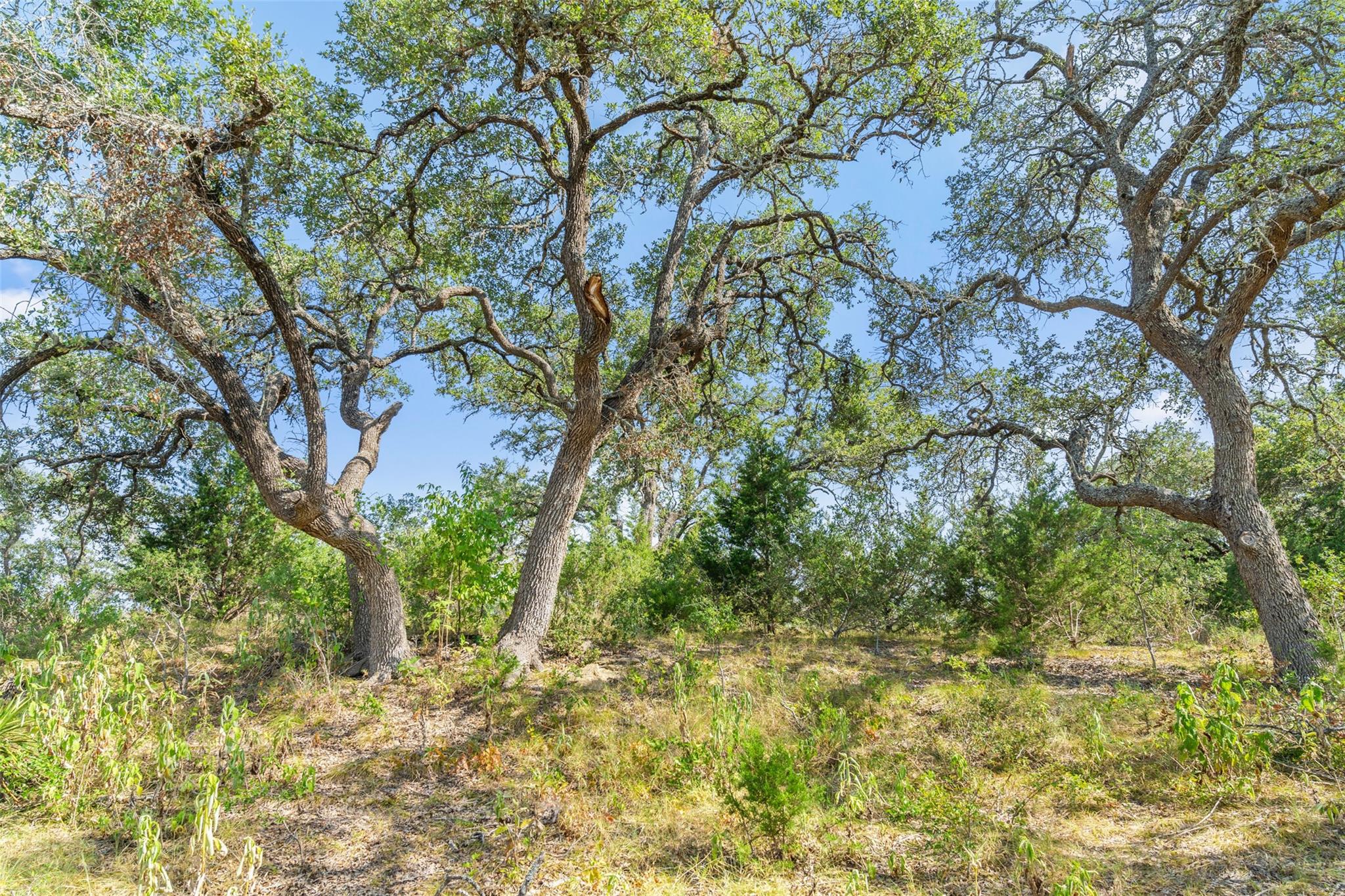 17117 Whispering Breeze Dr Property Photo 16