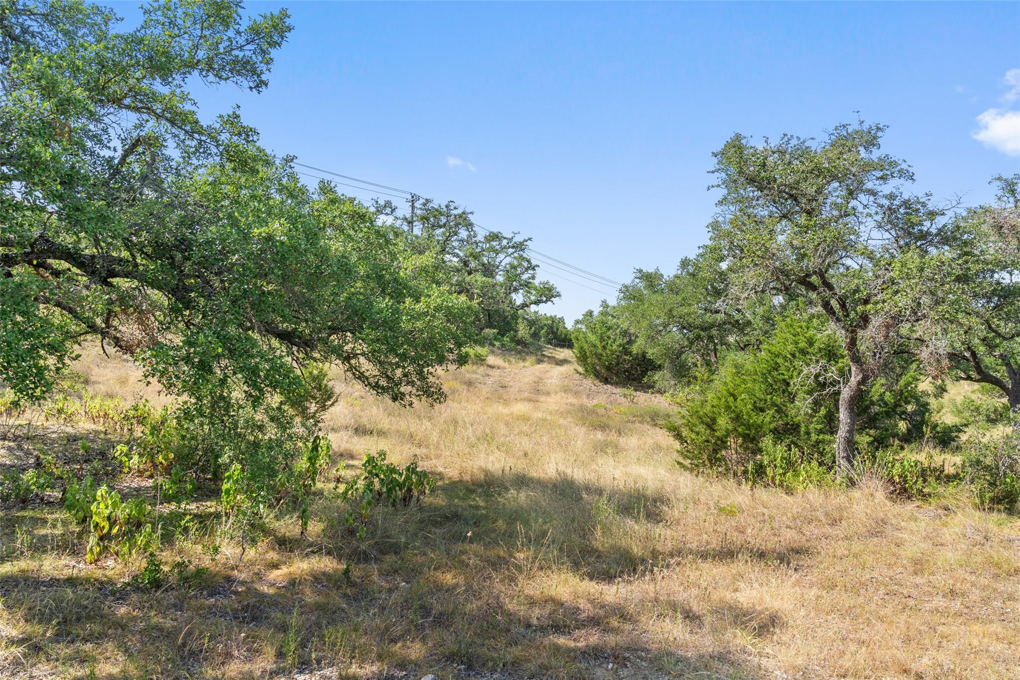 17117 Whispering Breeze Dr Property Photo 18