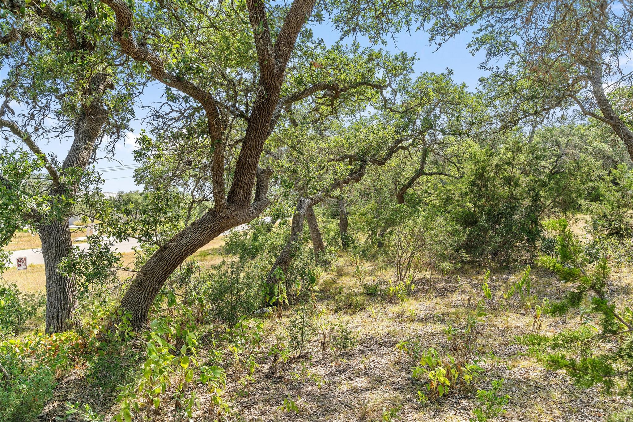 17117 Whispering Breeze Dr Property Photo 19