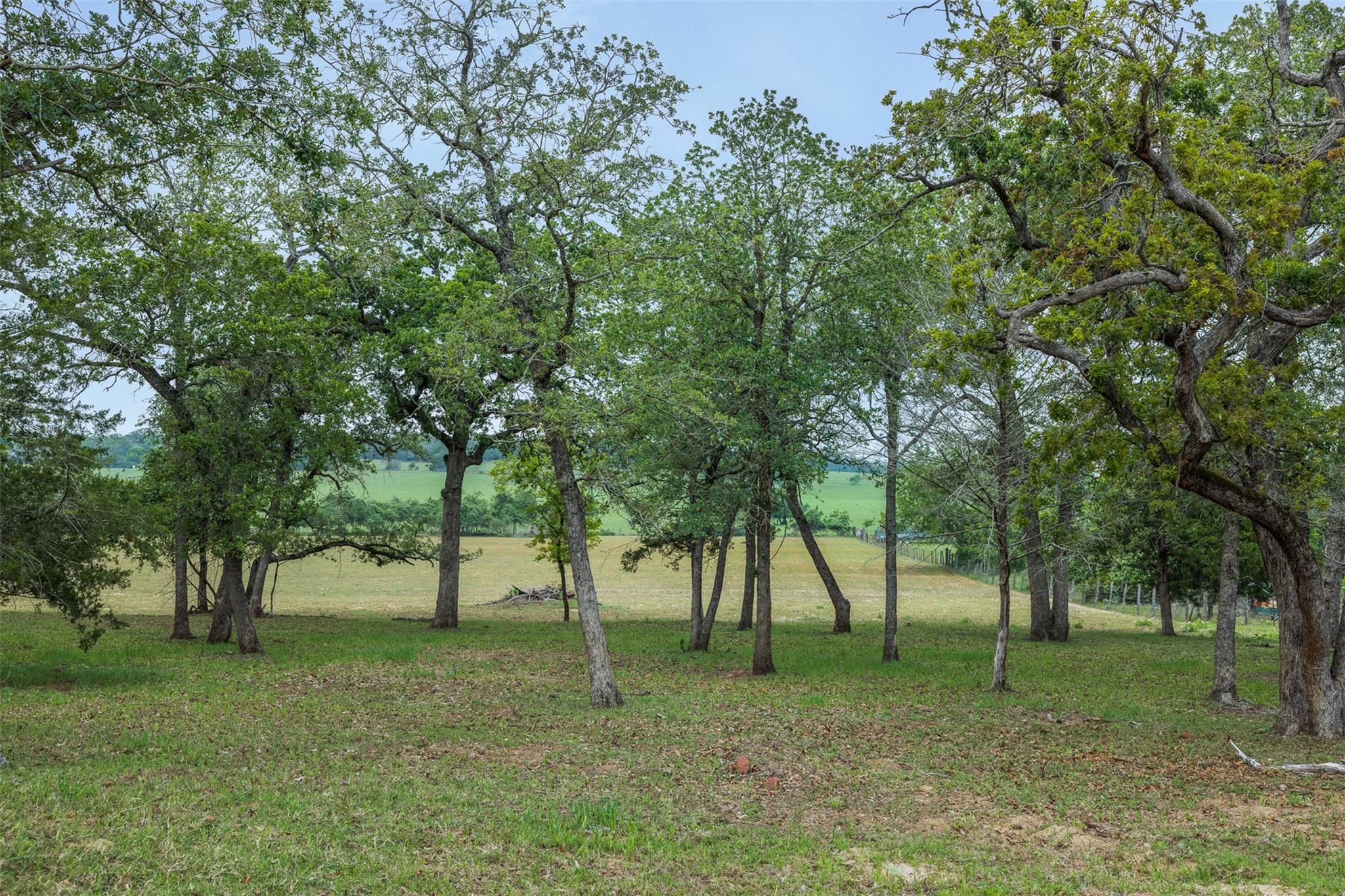 640 County Road 475 Rd Property Photo 2