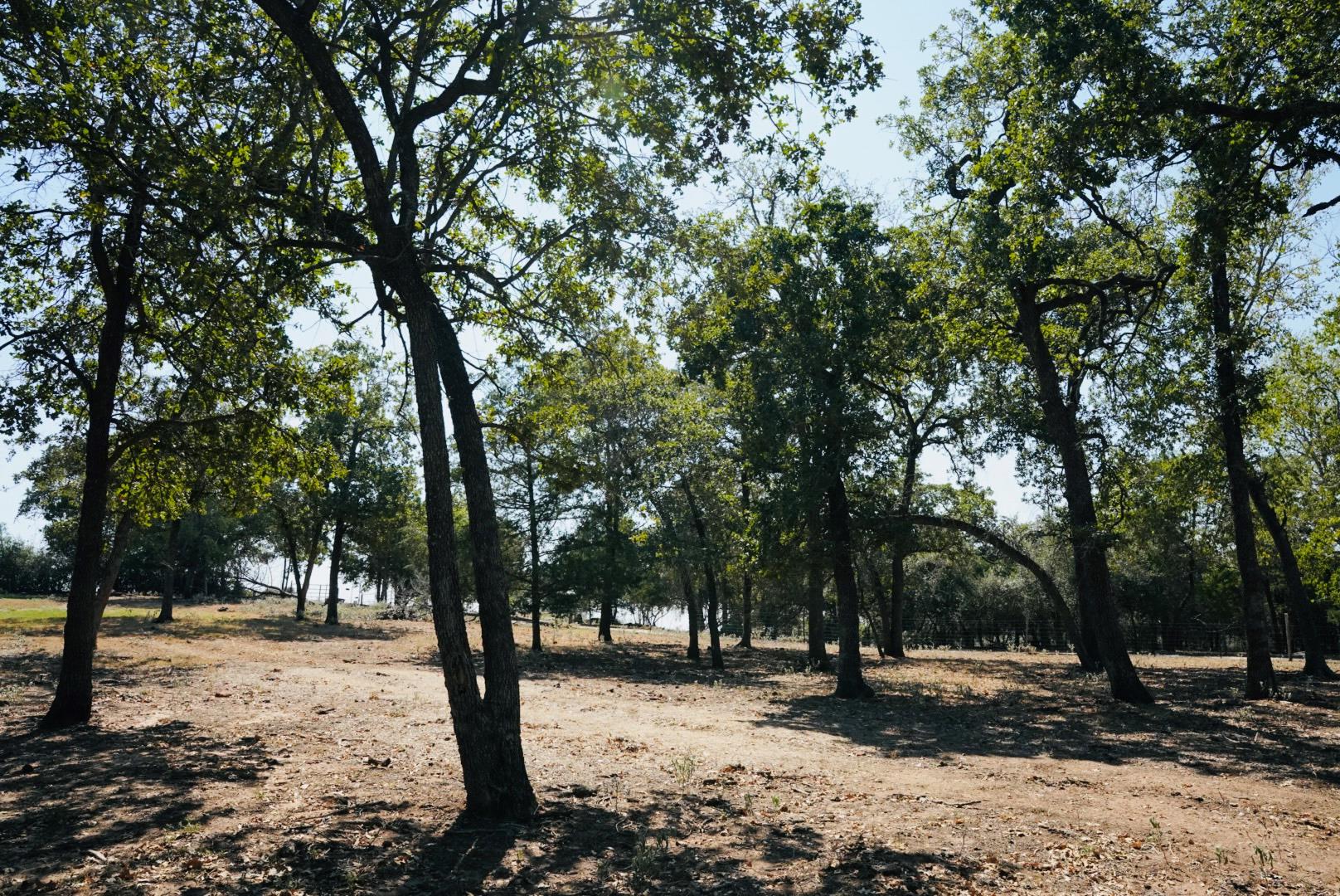 640 County Road 475 Rd Property Photo 14
