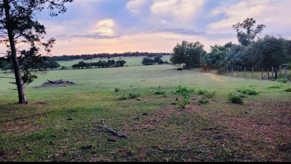 640 County Road 475 Rd Property Photo 17