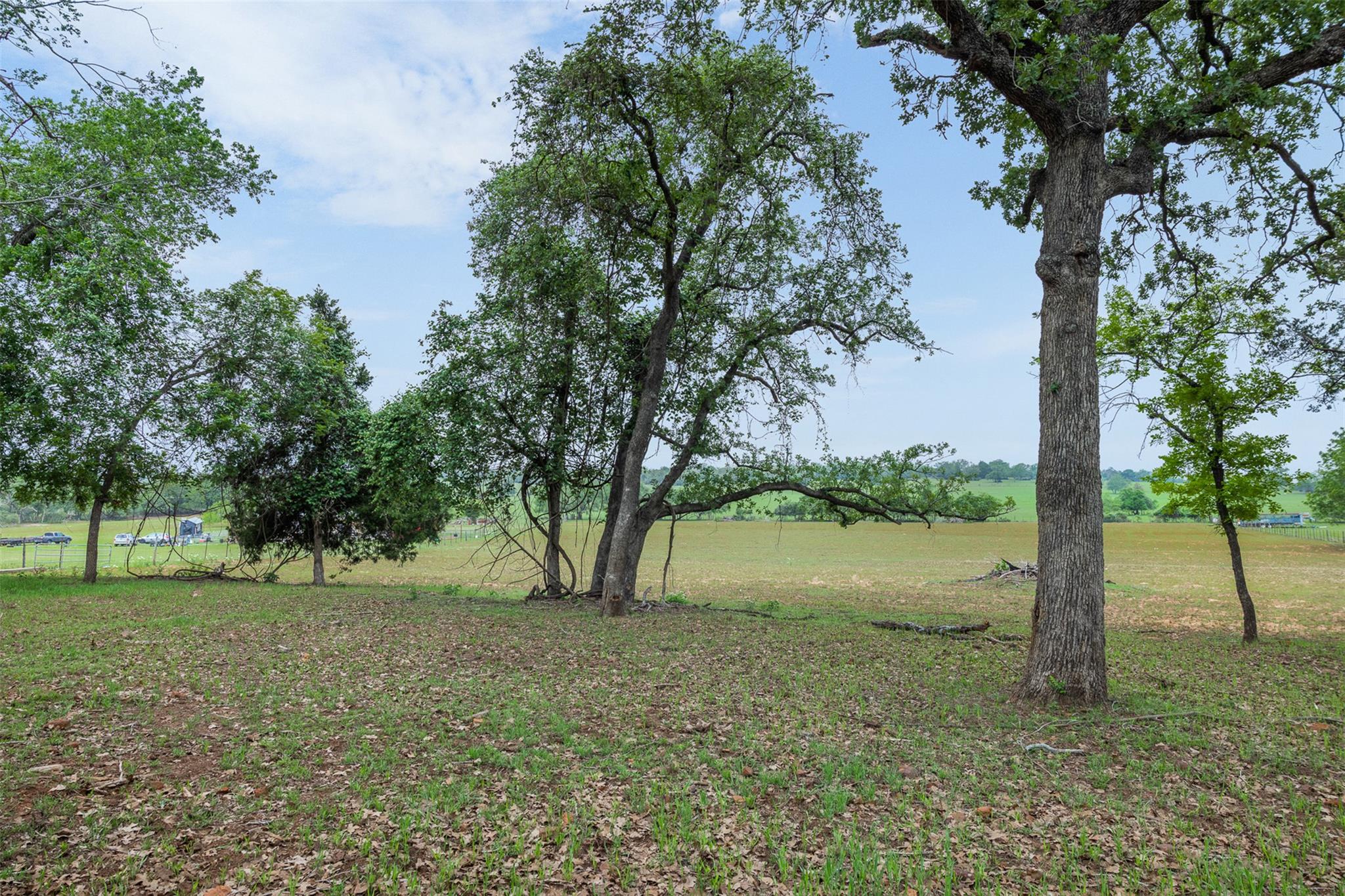 640 County Road 475 Rd Property Photo 18
