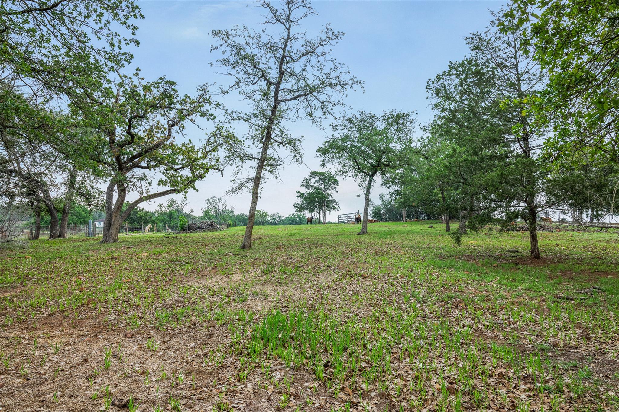 640 County Road 475 Rd Property Photo 19