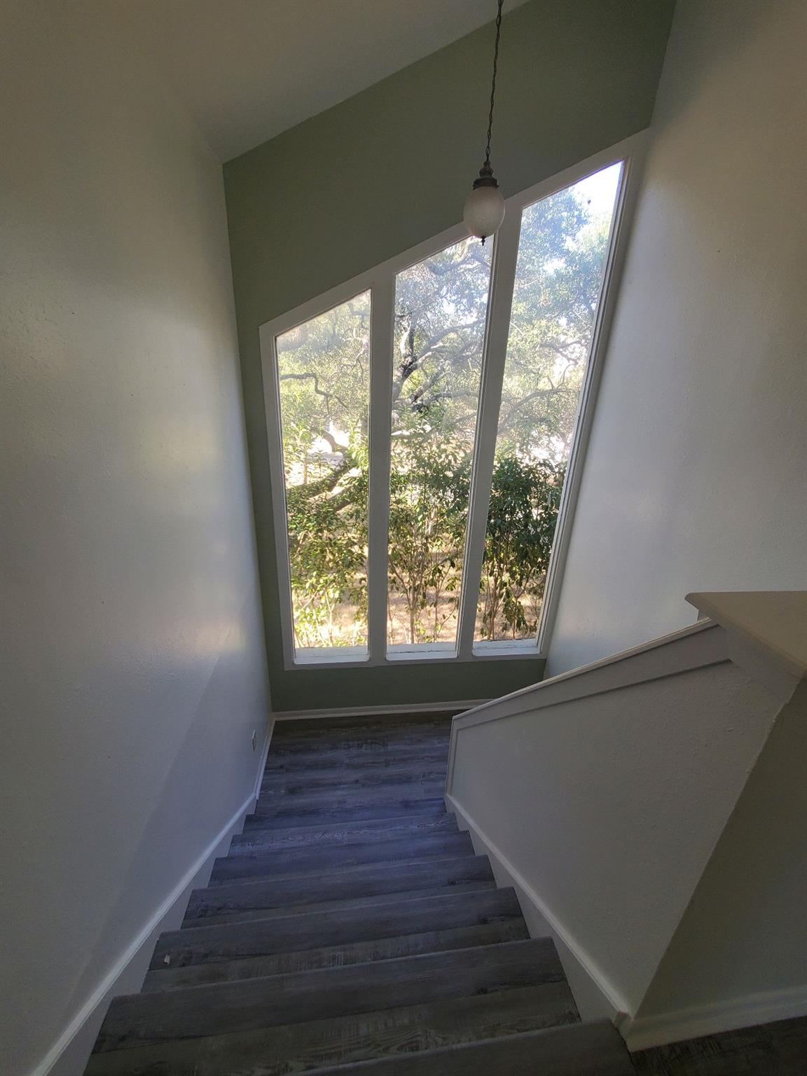 8716 Clearbrook Trl #a Property Photo 17