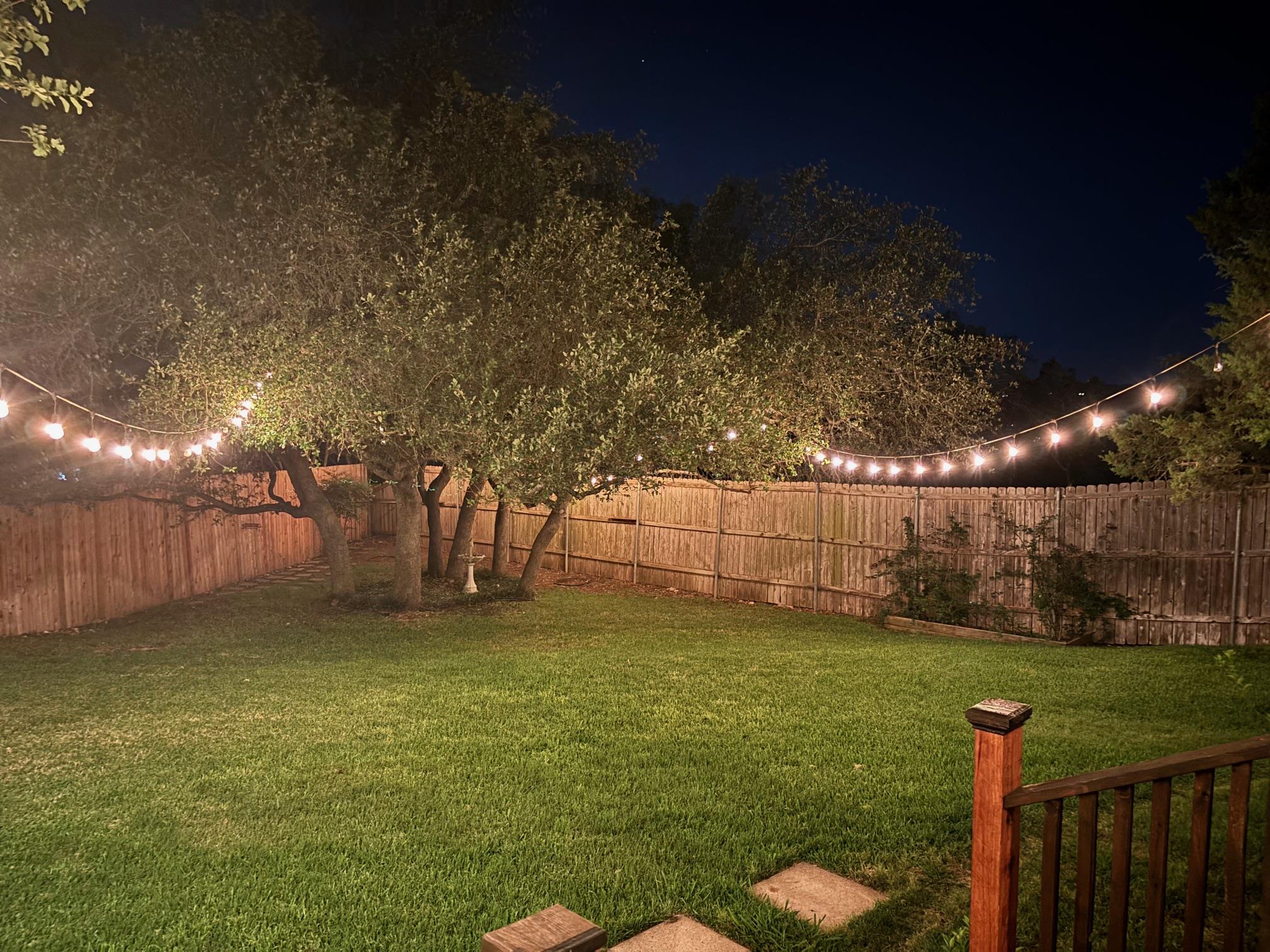 7303 Bluntleaf Cv Property Photo 33