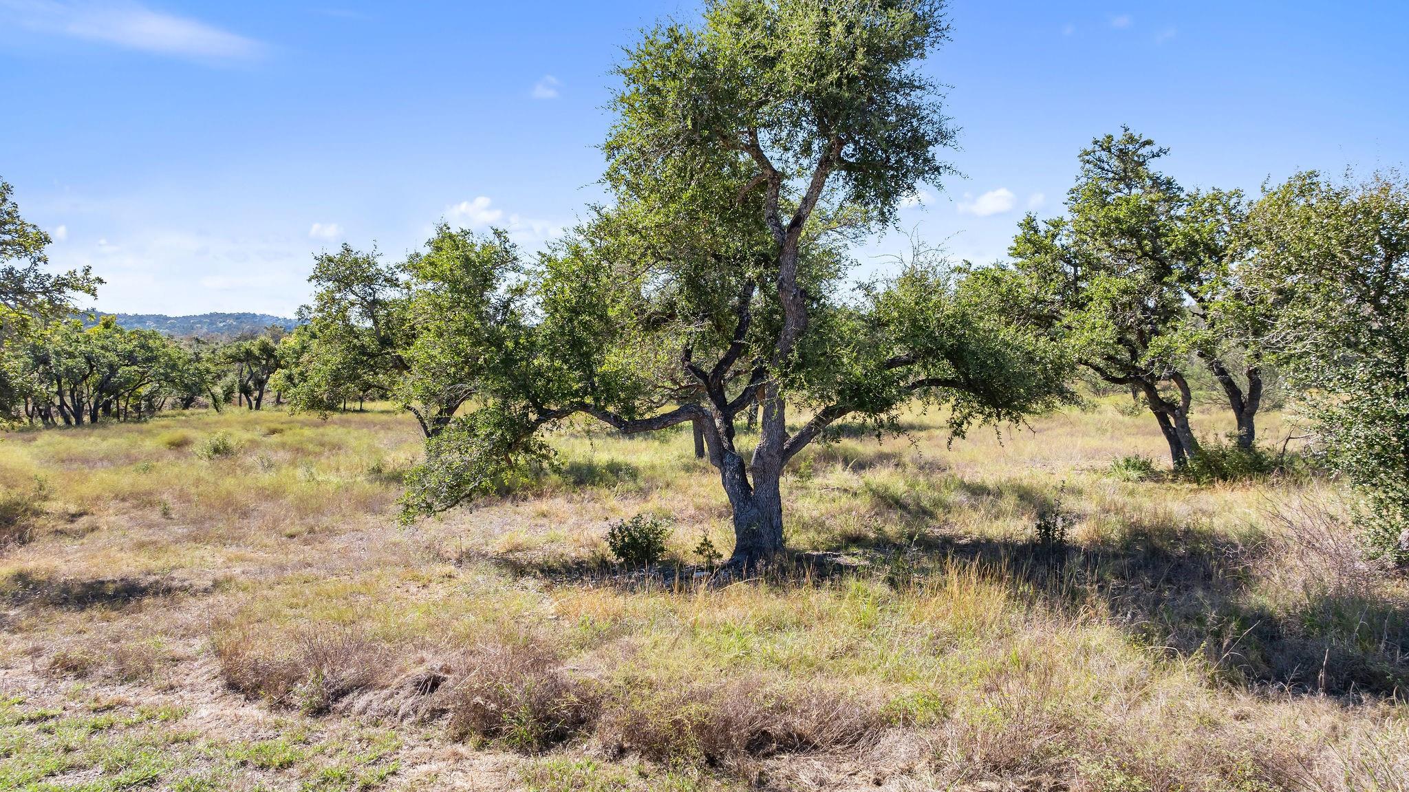 18 W Mesa Ranch Rd Rd Property Photo 11