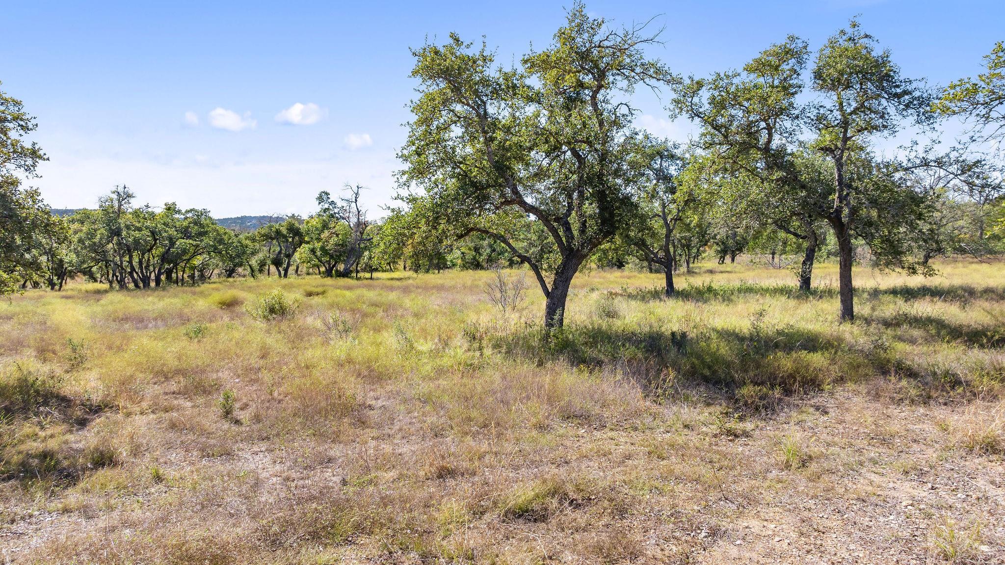 18 W Mesa Ranch Rd Rd Property Photo 12