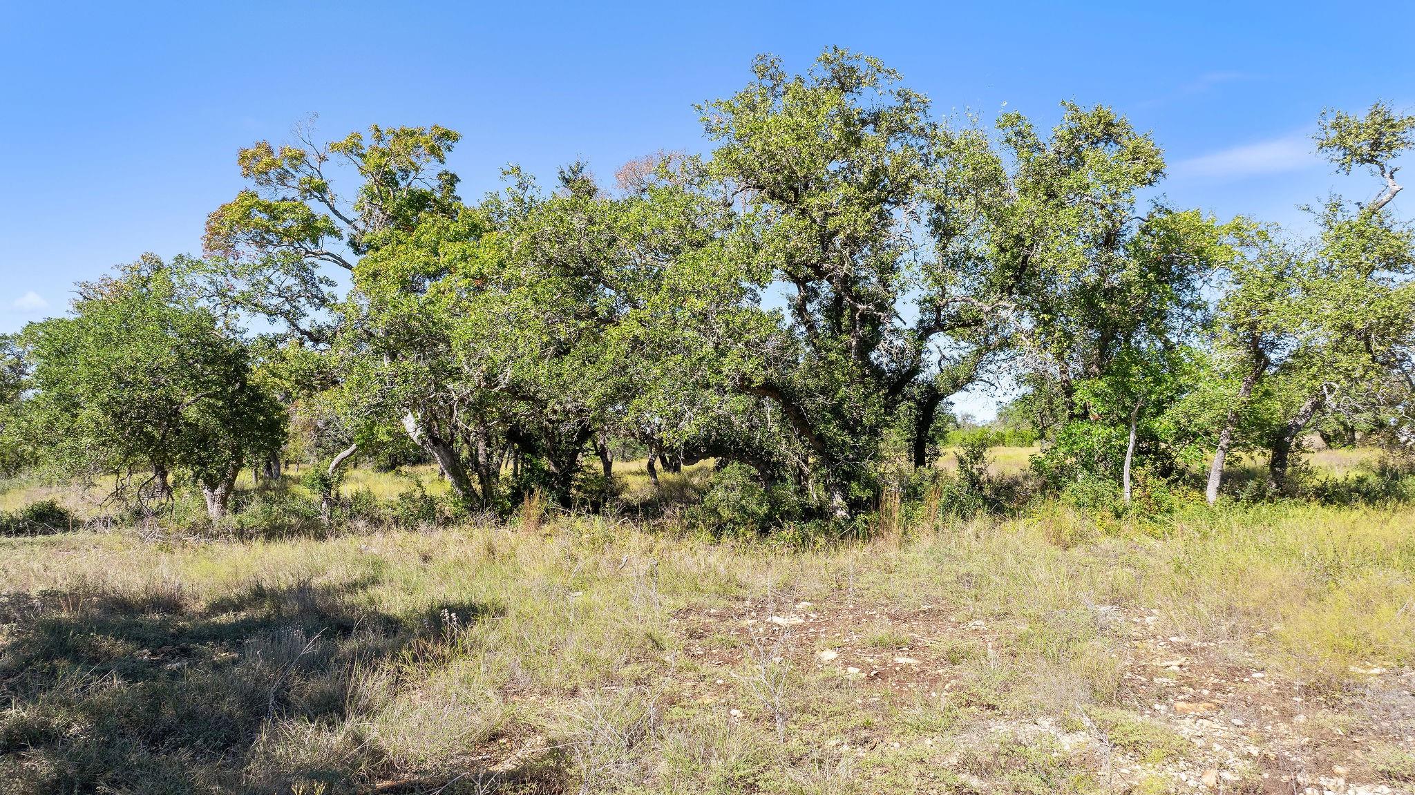 18 W Mesa Ranch Rd Rd Property Photo 17