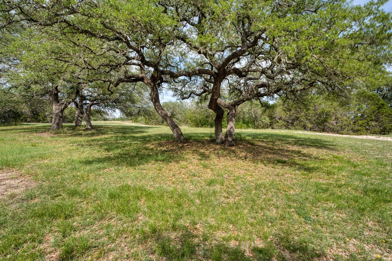 2602 County Road 108 None Property Photo 22