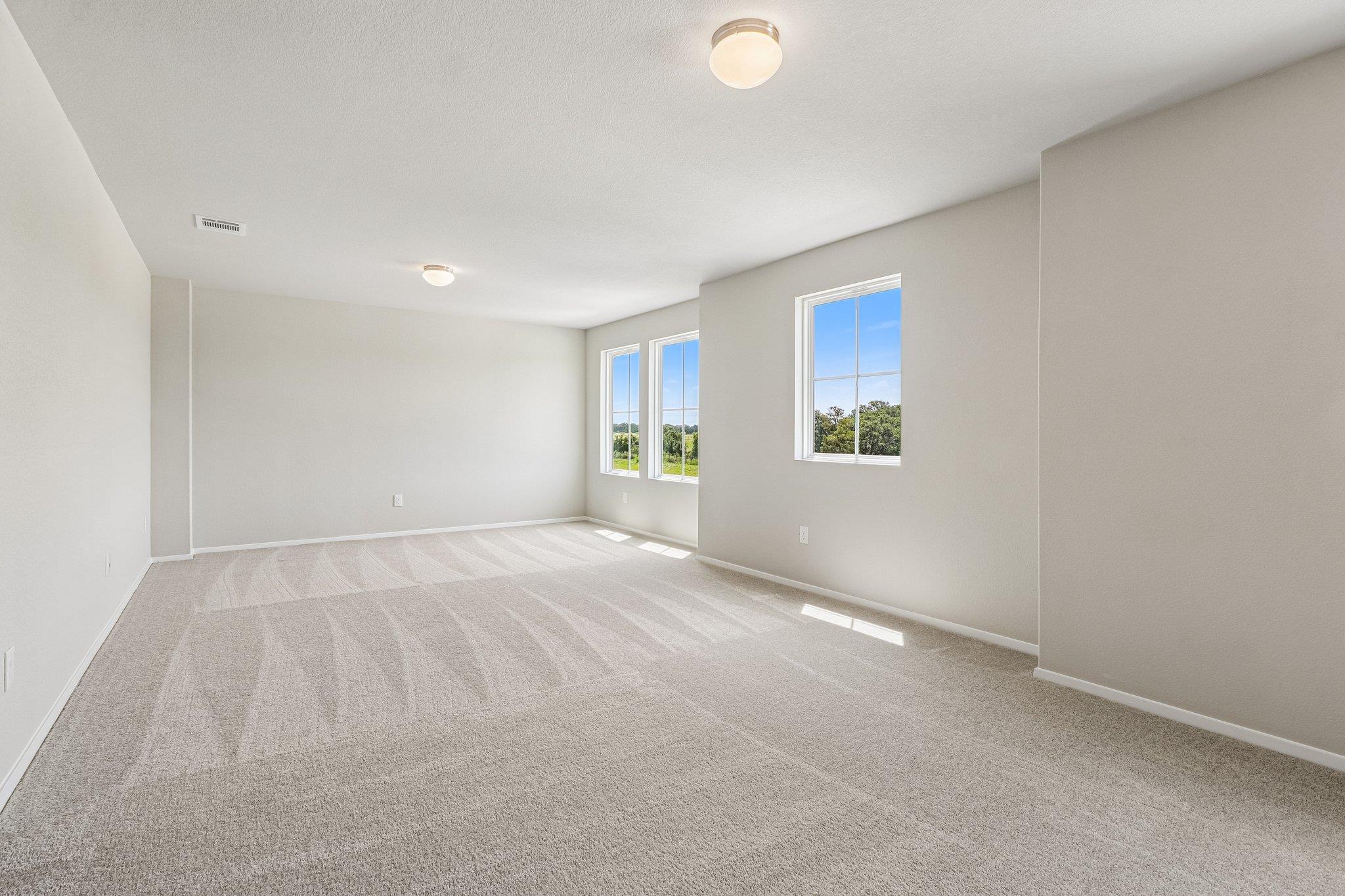 370 Golden Paint Trl Property Photo 17