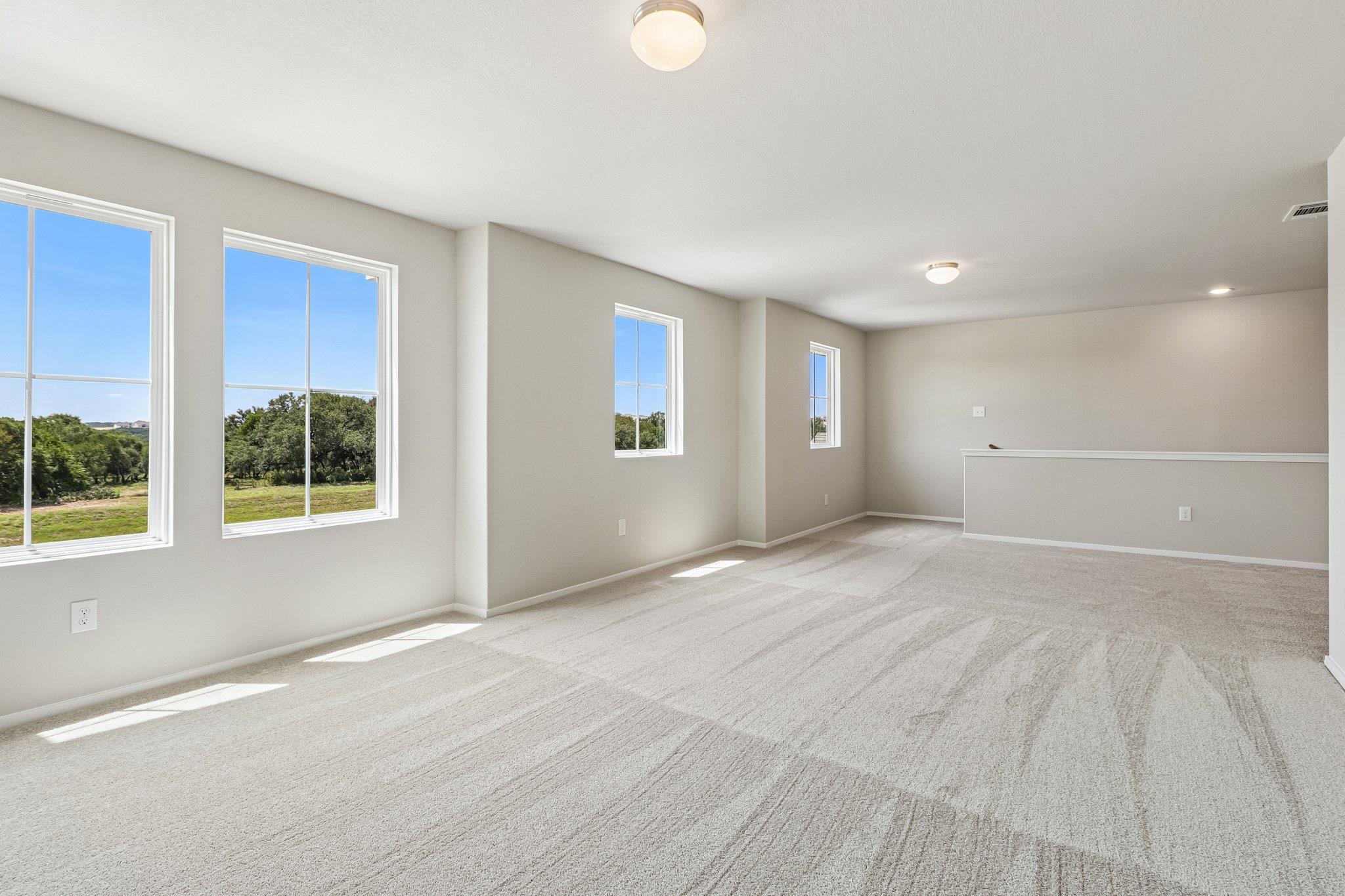370 Golden Paint Trl Property Photo 18