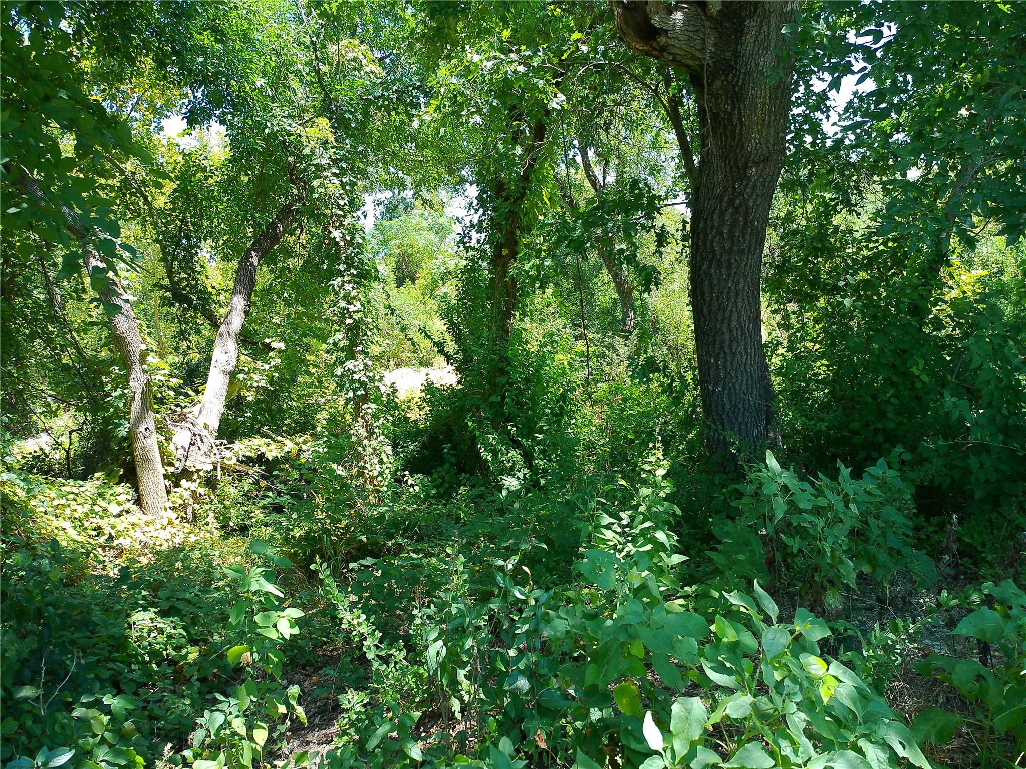 204 Serenity Dr Property Photo 8