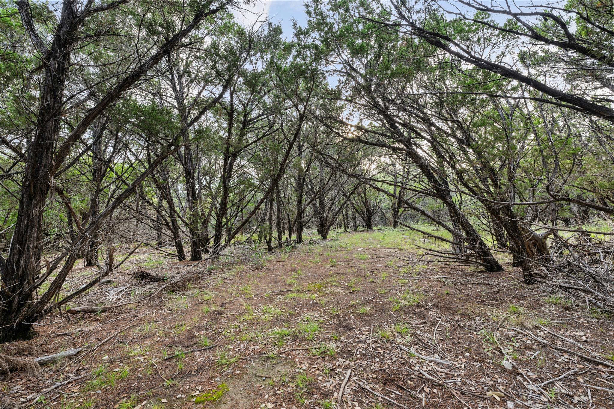 18900 Angel Mountain Dr Property Photo 37