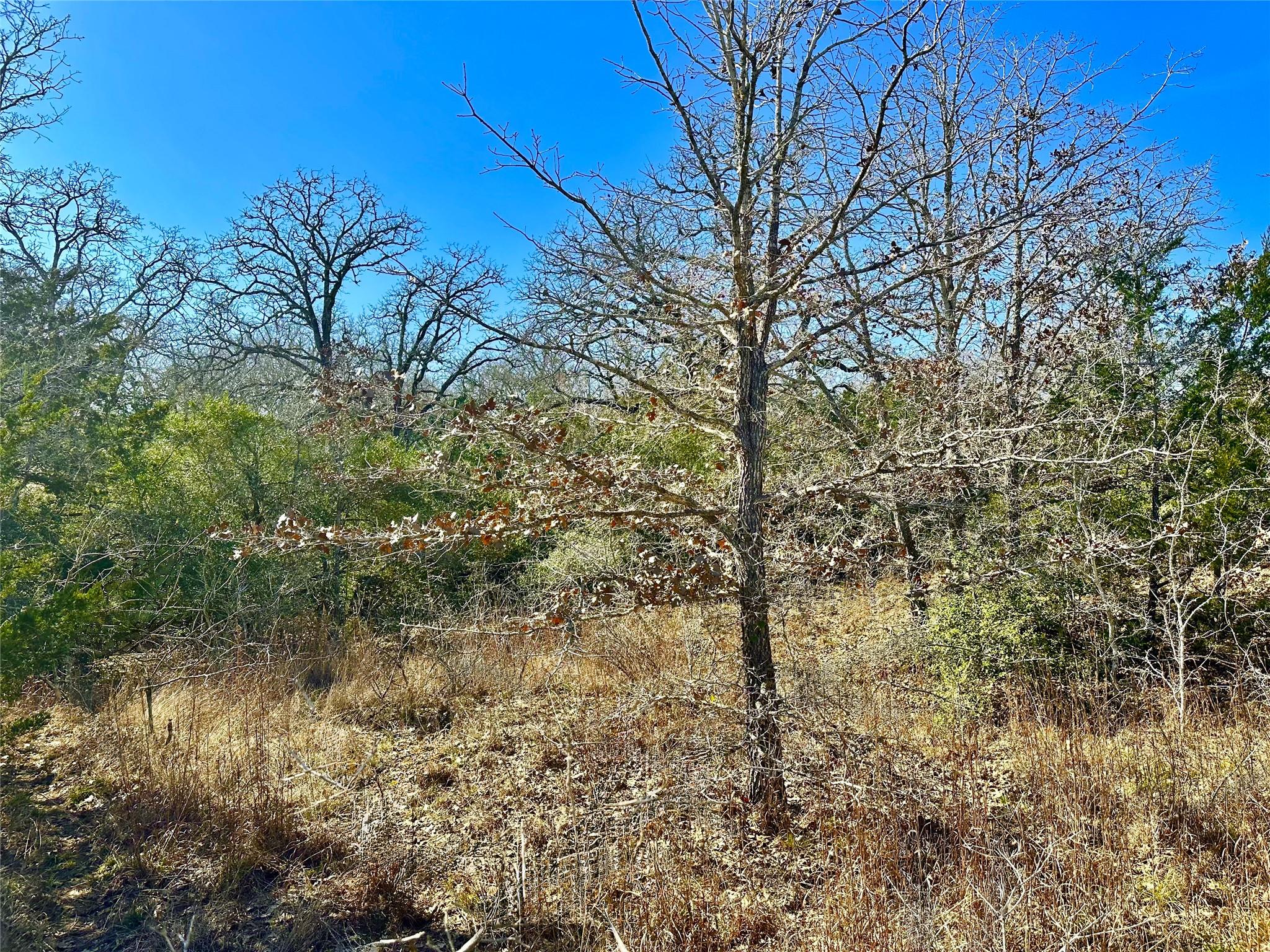 1124417 Property Photo 2