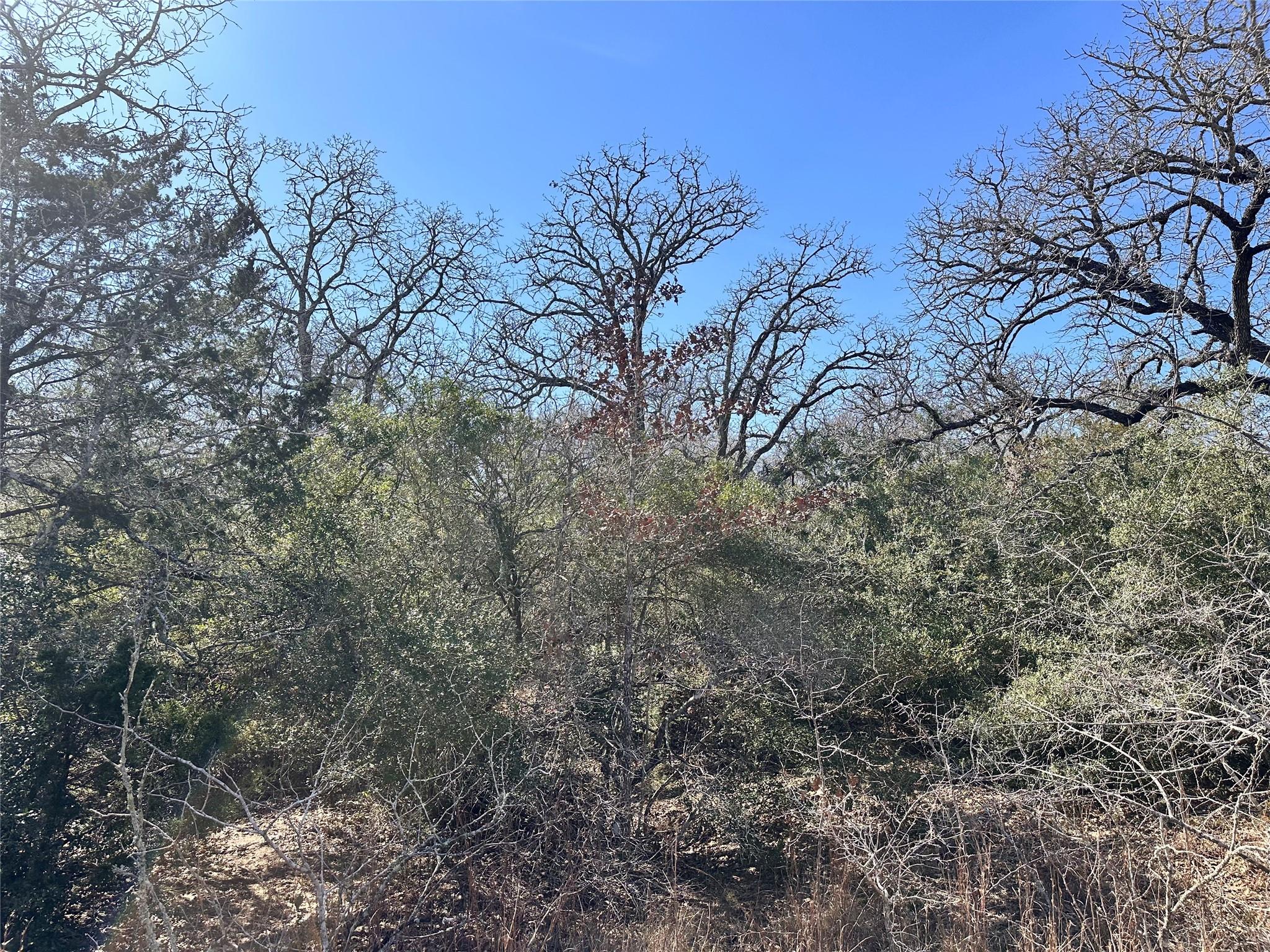 1124417 Property Photo 5