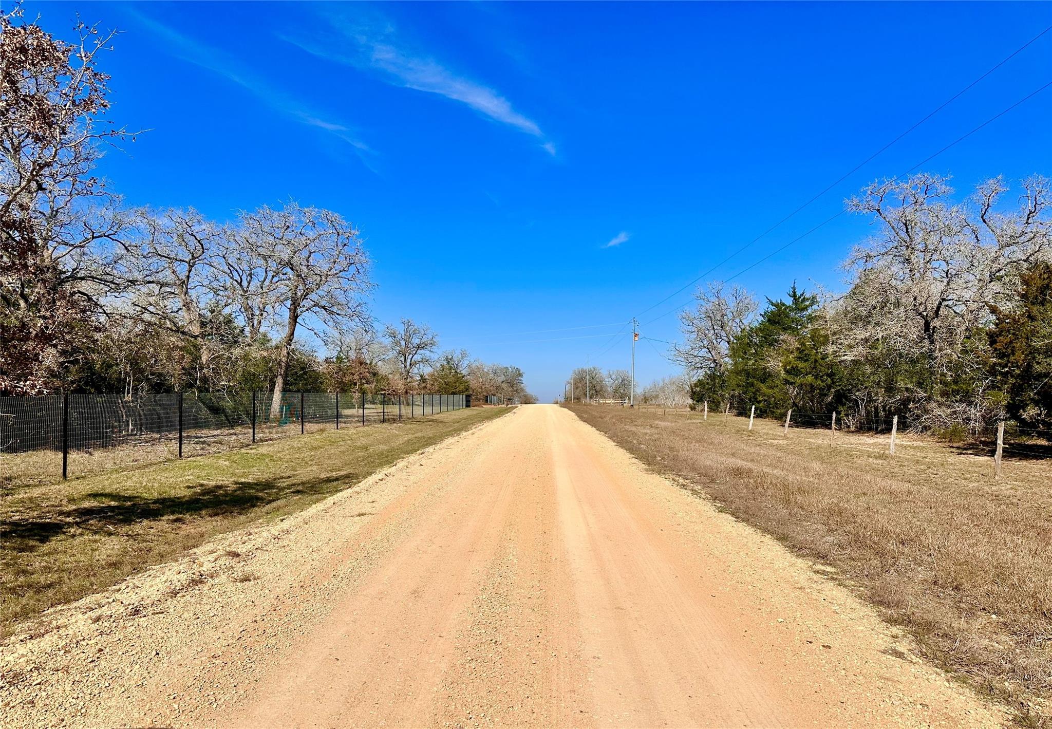 1124417 Property Photo 6