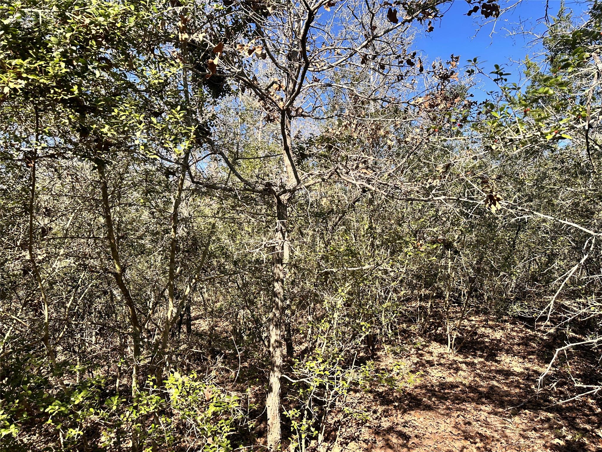 1124417 Property Photo 8
