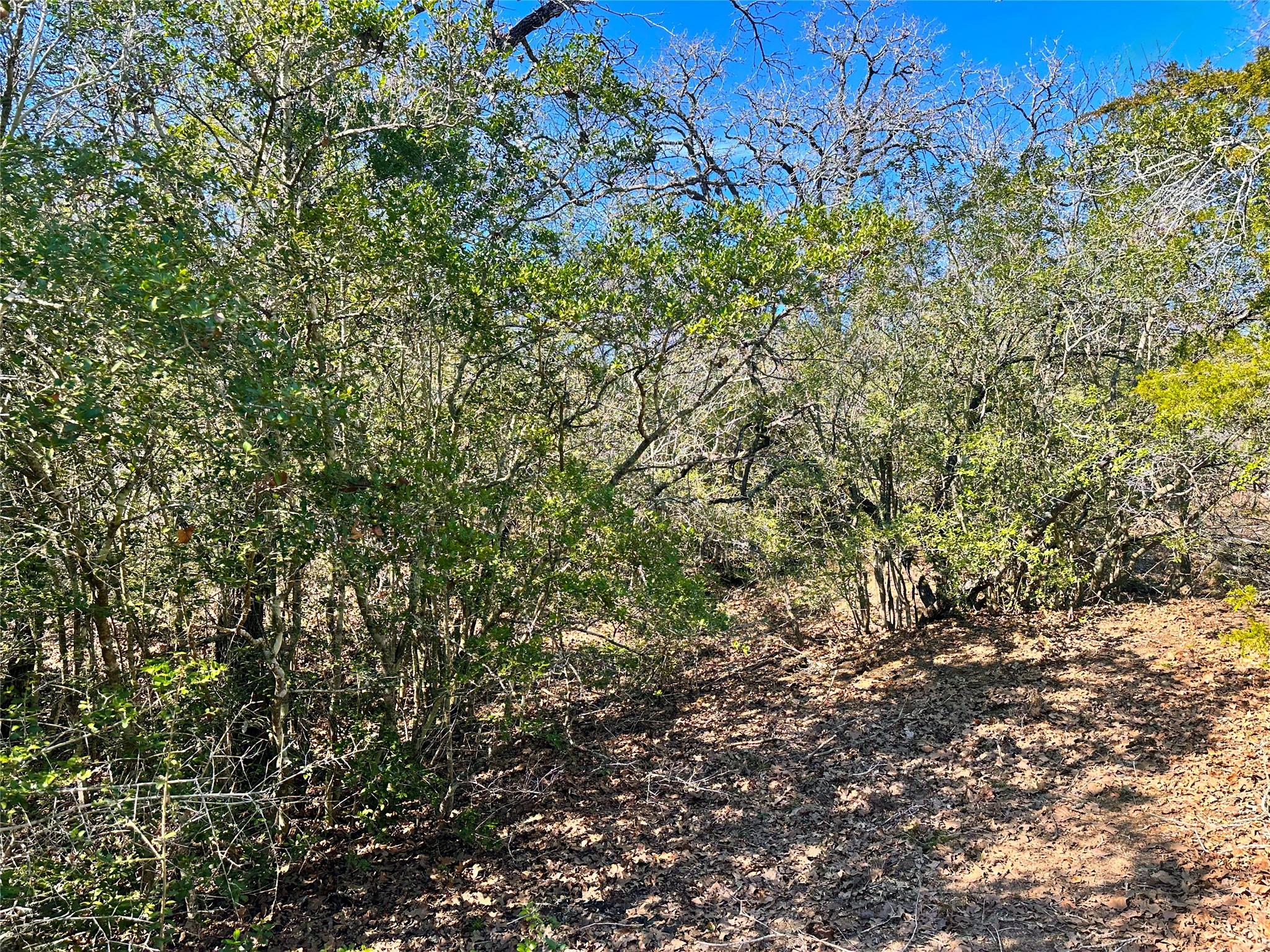 1124417 Property Photo 9