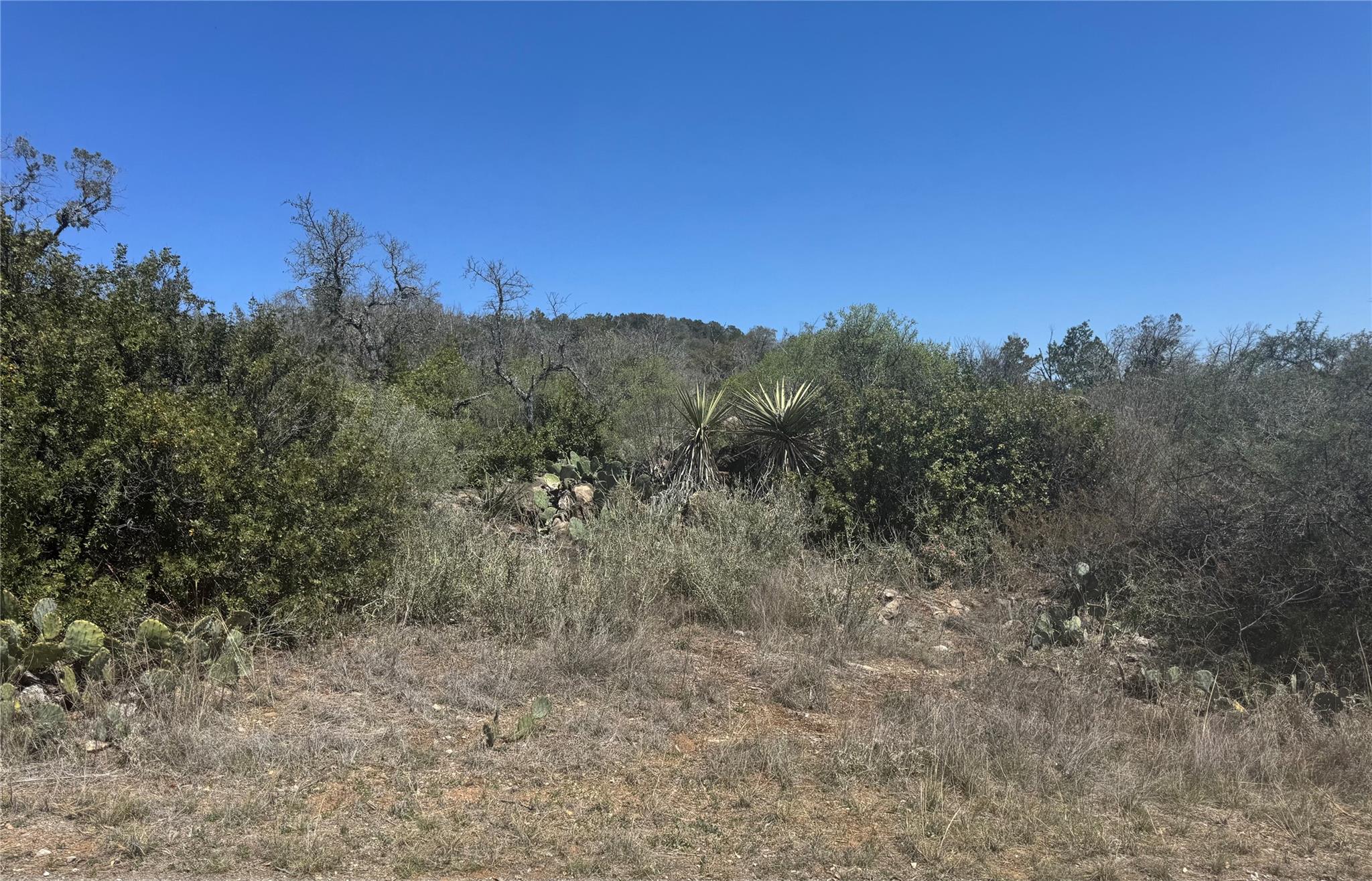 Lot 56 War Bonnet Rdg Property Photo 5