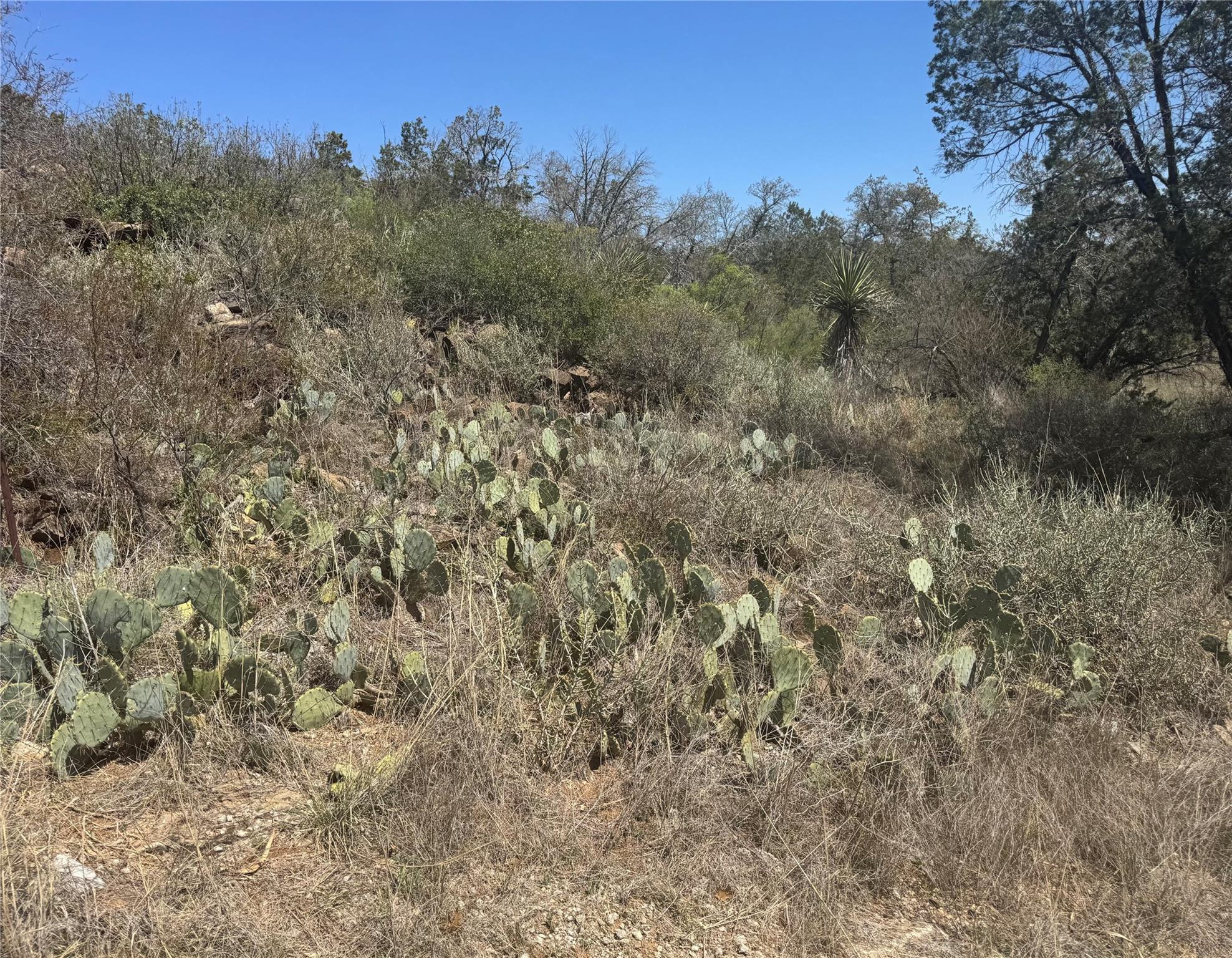 Lot 56 War Bonnet Rdg Property Photo 6