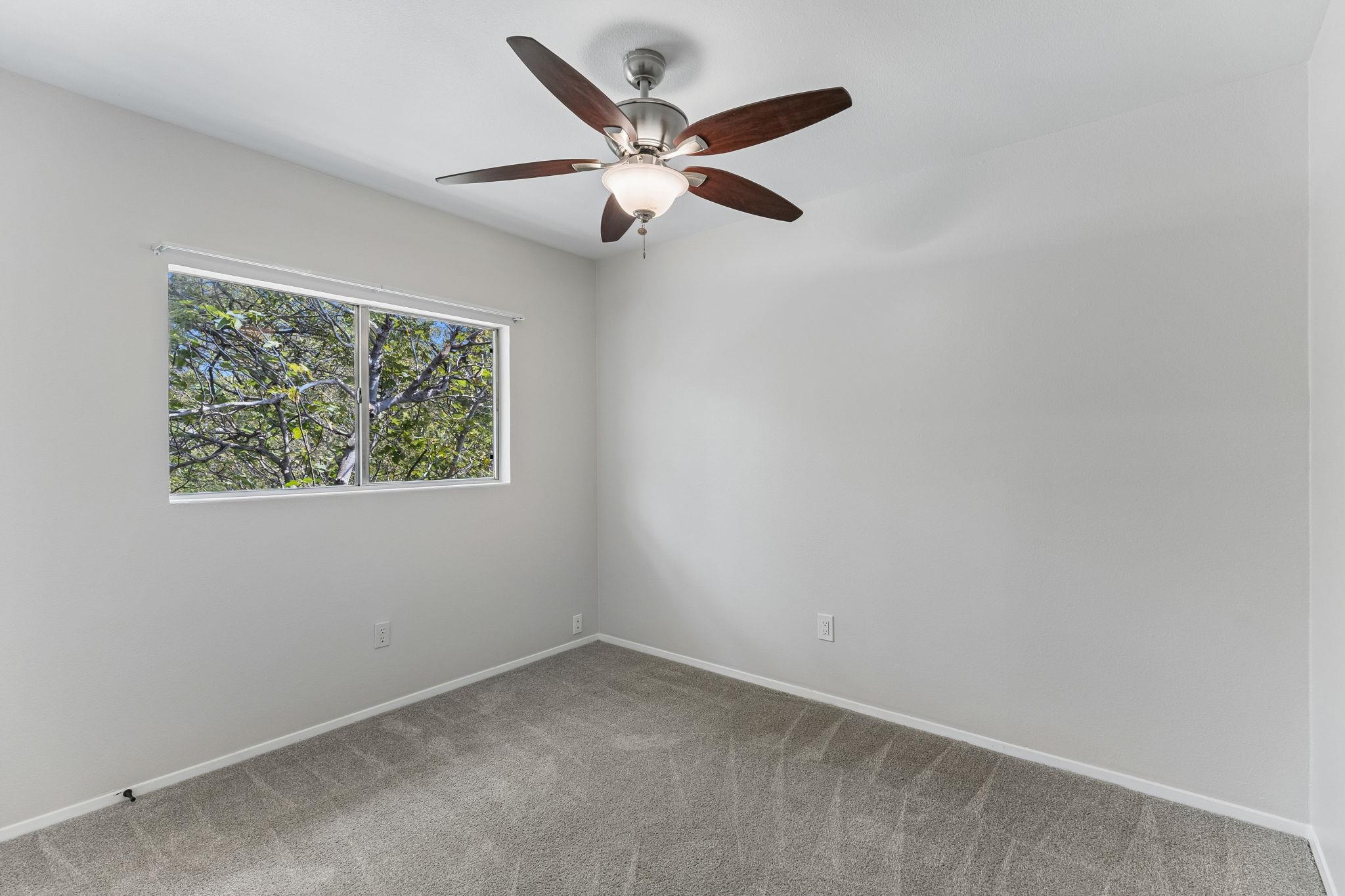 10613 Archdale Dr Property Photo 23