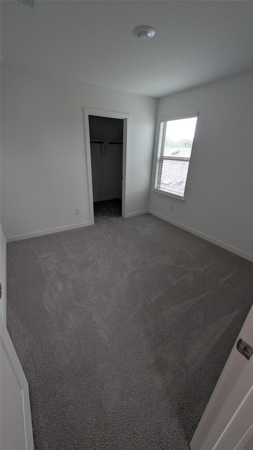 441 Bristlecone Bnd Property Photo 17