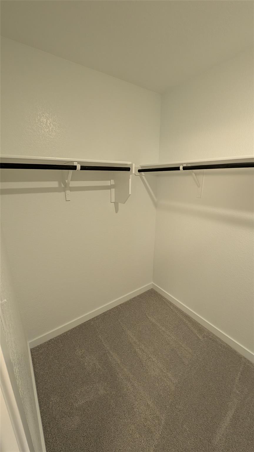 441 Bristlecone Bnd Property Photo 23