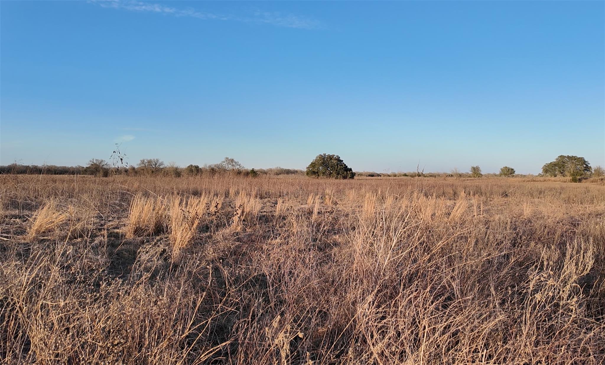 Tbd (tract 5) Cr 119 None Property Photo 1