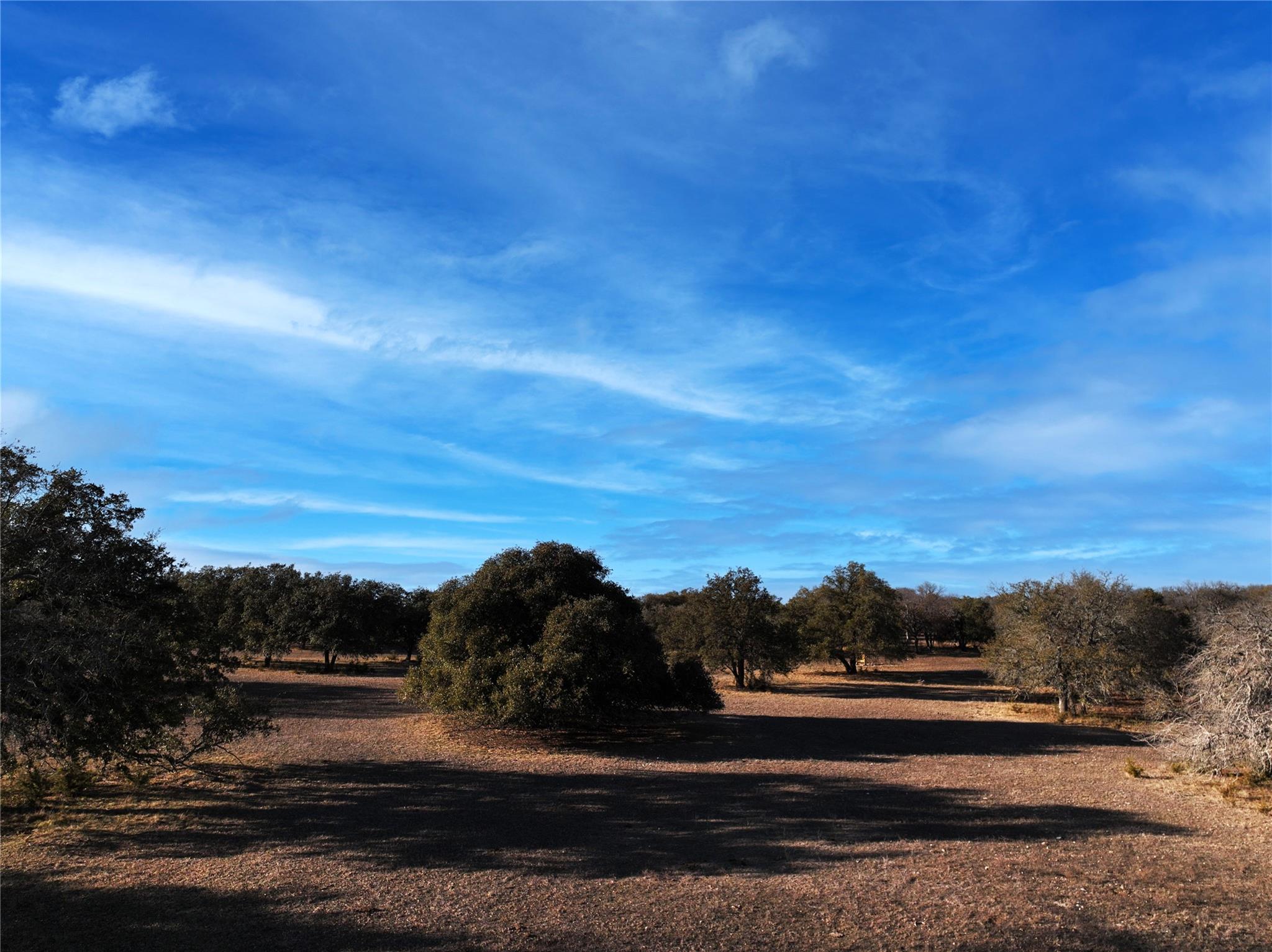 Fm 1113 Property Photo 14