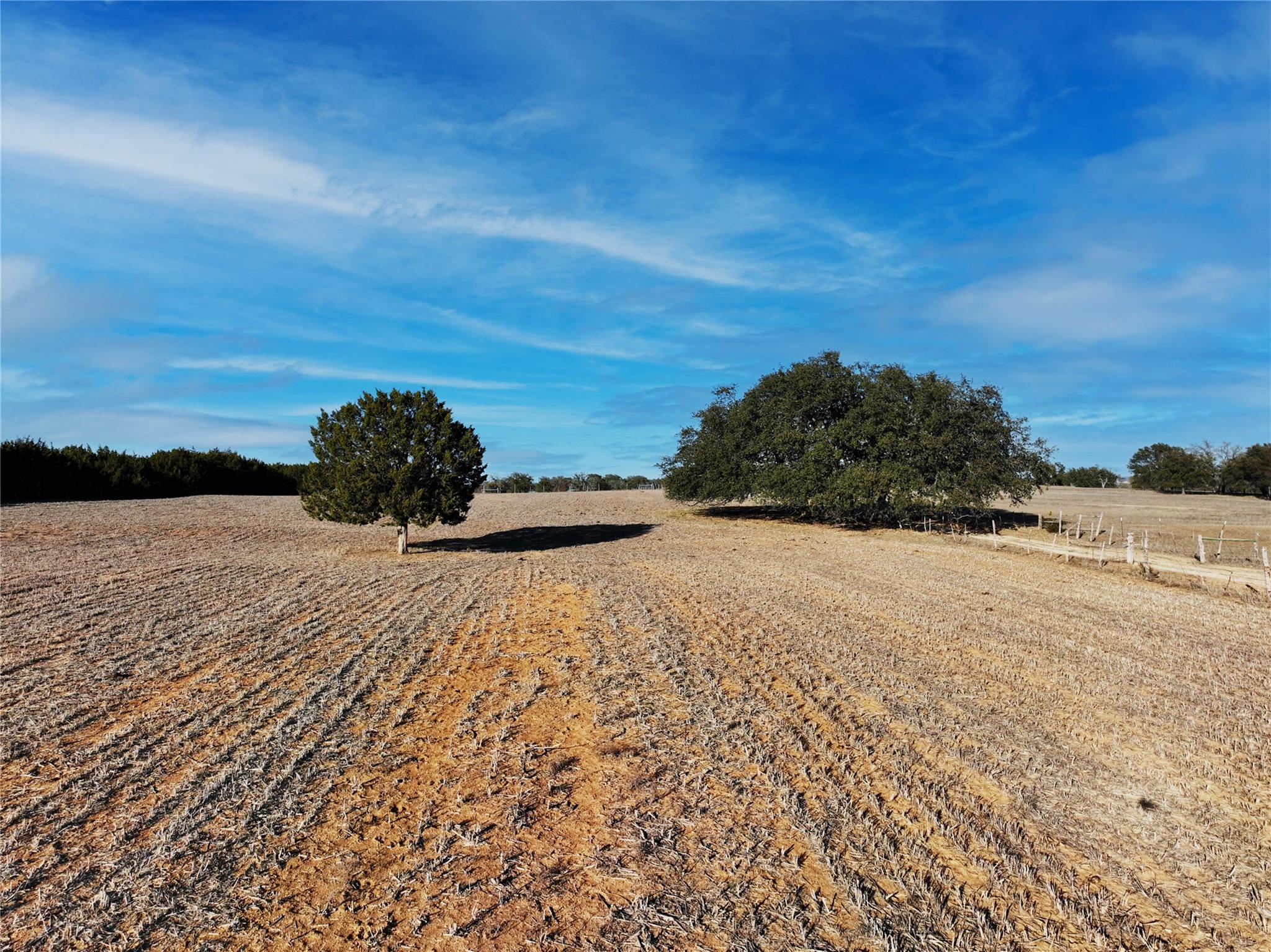 Fm 1113 Property Photo 18