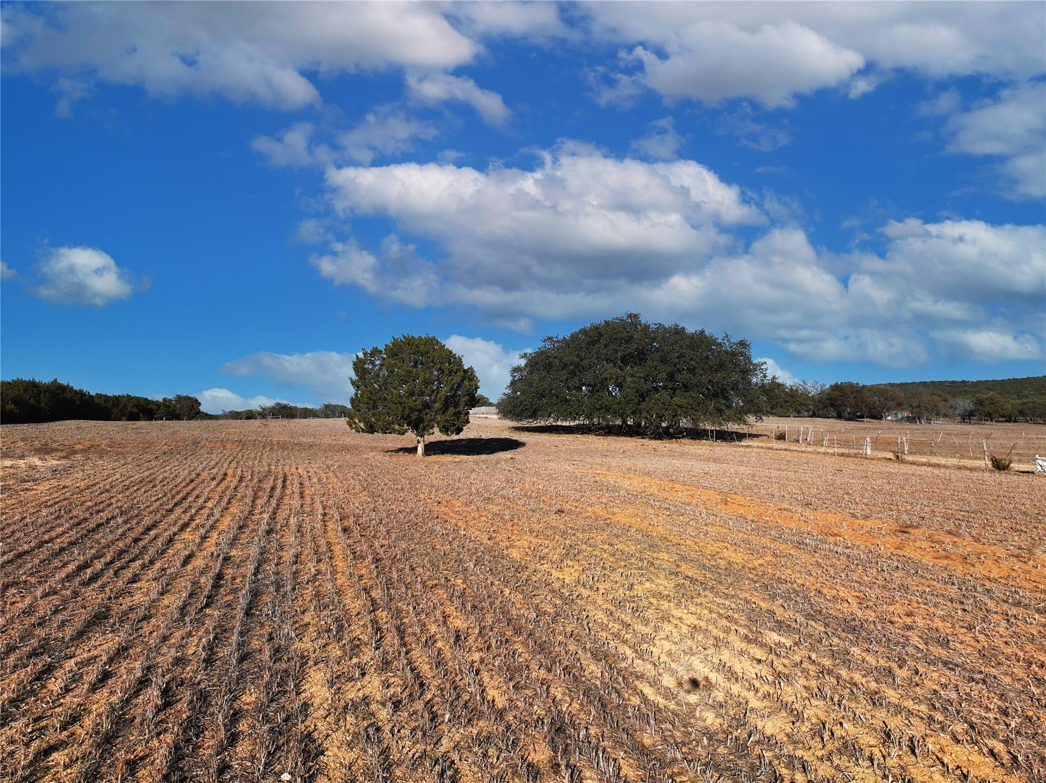 Fm 1113 Property Photo 21