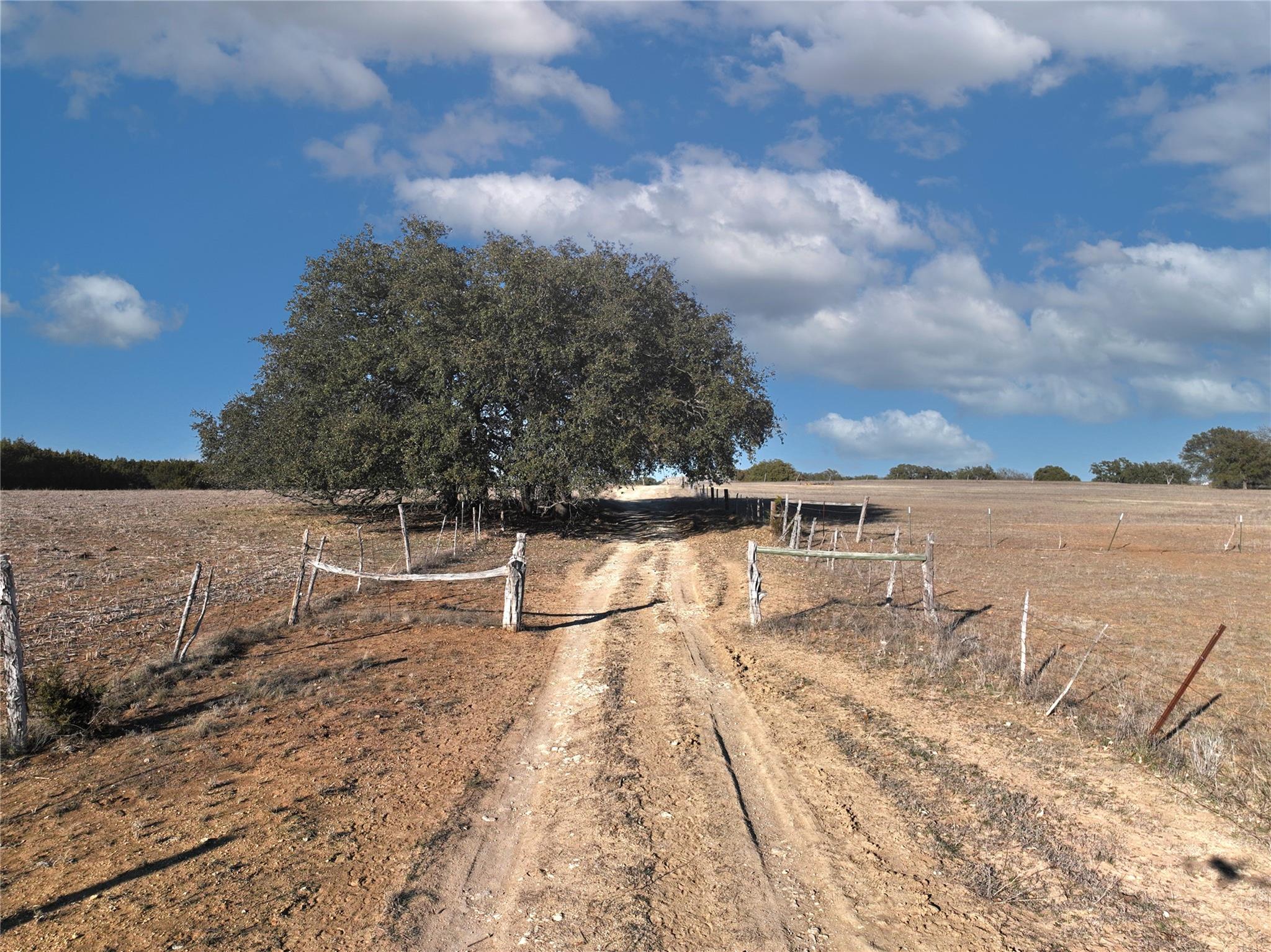 Fm 1113 Property Photo 22