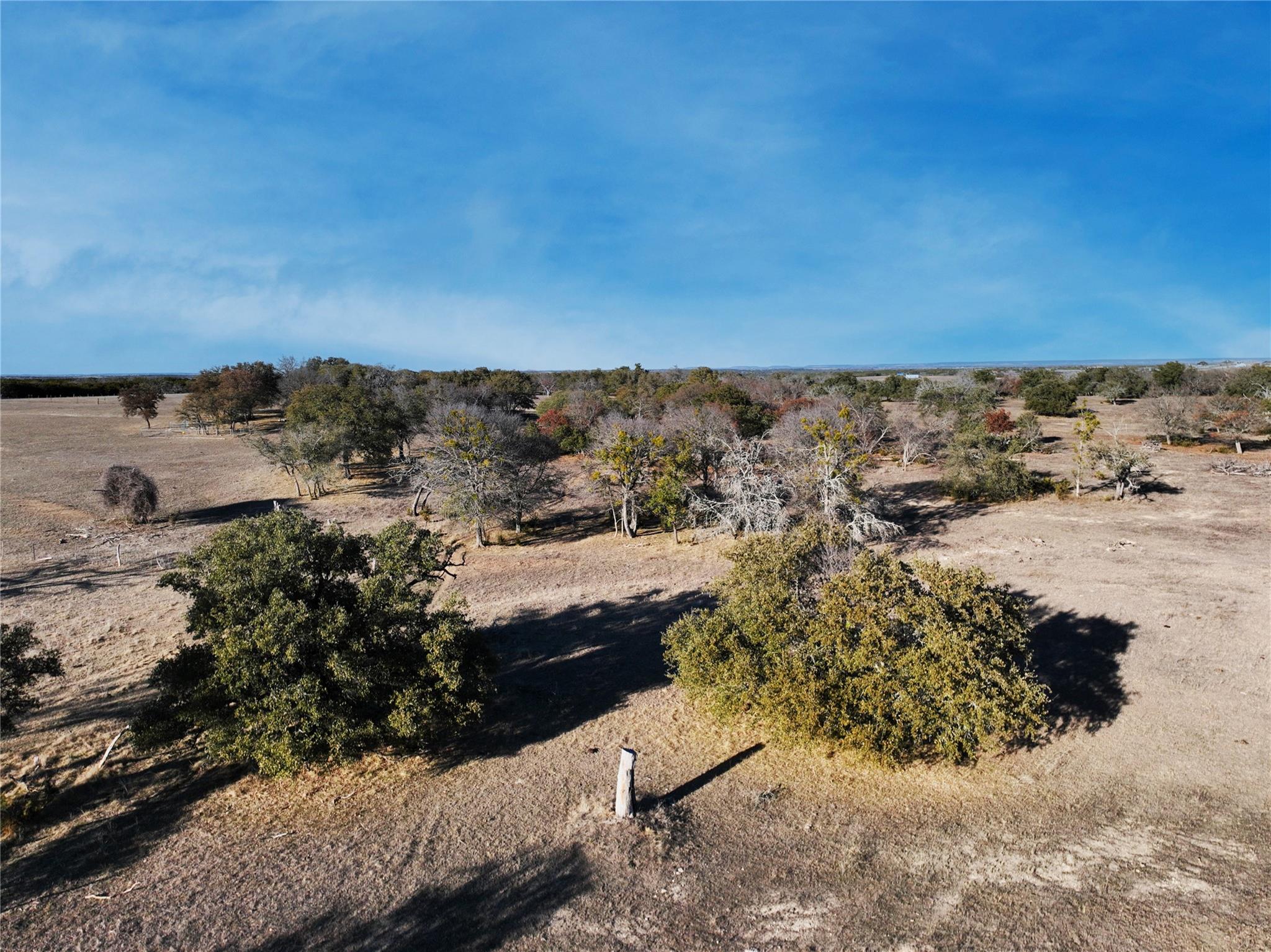 Fm 1113 Property Photo 25