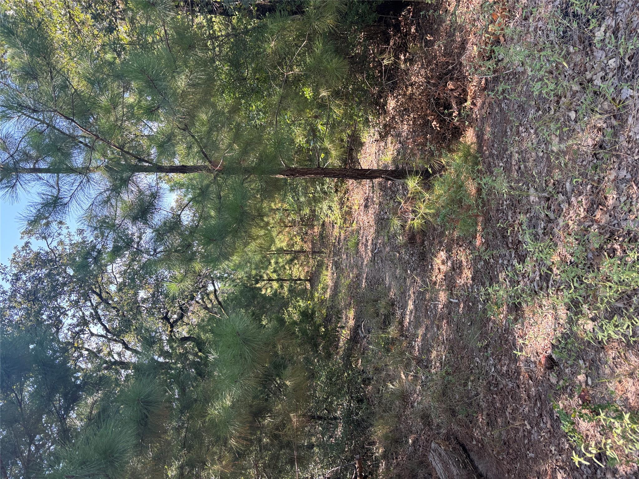 667 Paint Creek South Rd Property Photo 1