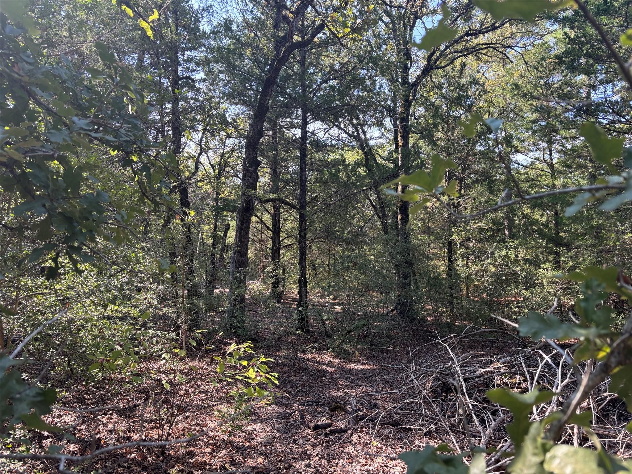 667 Paint Creek South Rd Property Photo 3